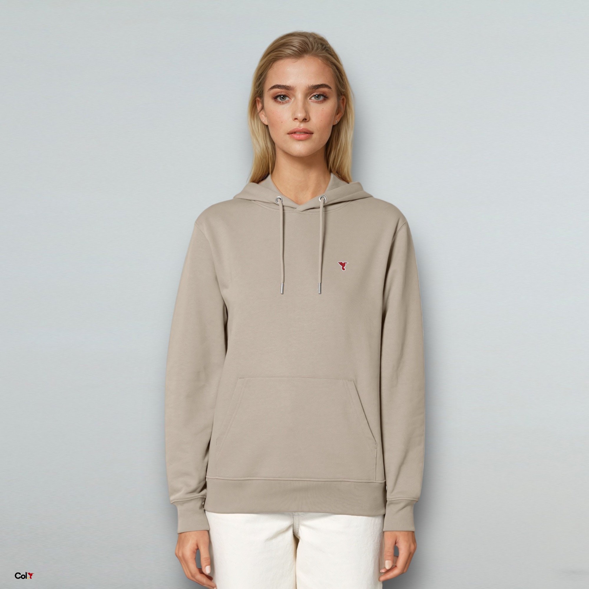 Sweat à capuche Intemporel - Col.