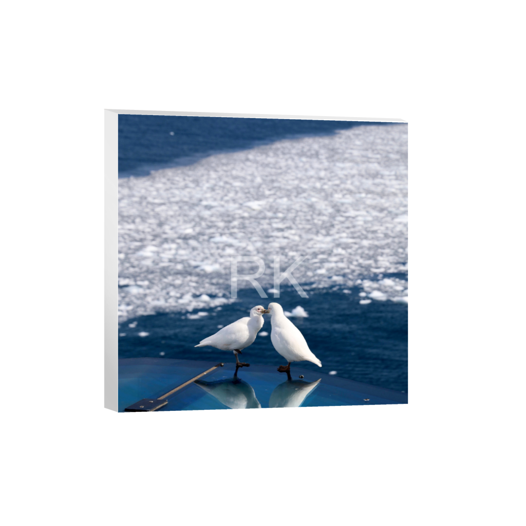 ptq_7_0_0_816_3265_3265_0_false_ffffff_0_0_87c69d95a624572b1d842444b47e69f3.png