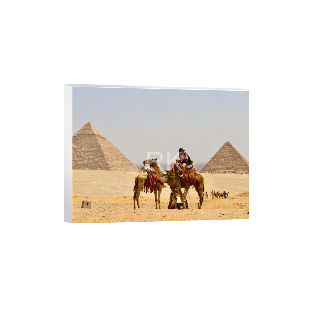 ptq_7_5_272_0_4353_3265_0_false_ffffff_0_0_87c69d95a624572b1d842444b47e69f3.png