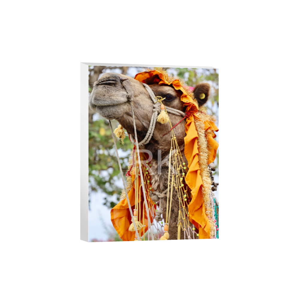 ptq_7_5_0_346_4160_5546_0_false_ffffff_0_0_87c69d95a624572b1d842444b47e69f3.png