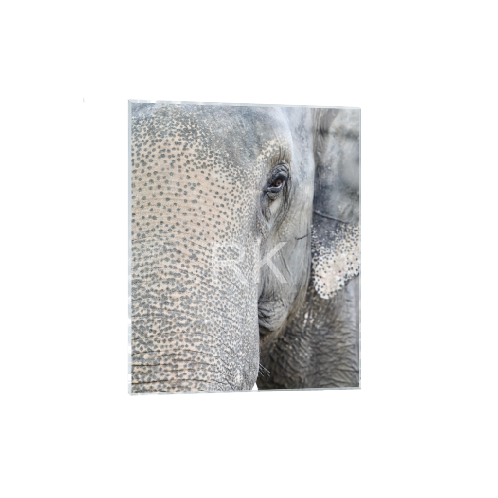 ptq_17_6_0_520_4160_5200_0_false_ffffff_0_0_87c69d95a624572b1d842444b47e69f3.png