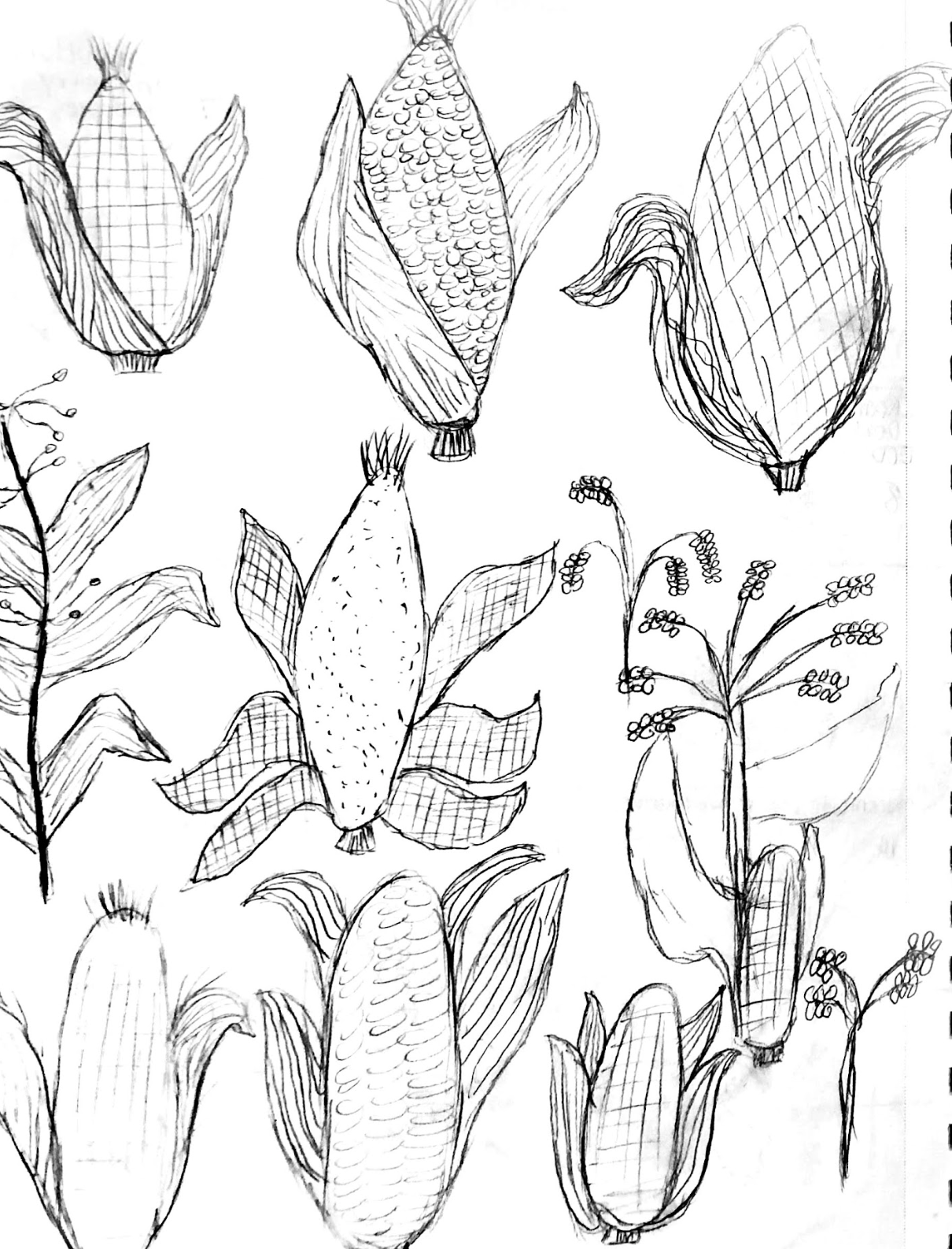 Screen Shot 2026-03-31 at 1.11.37 PM.png