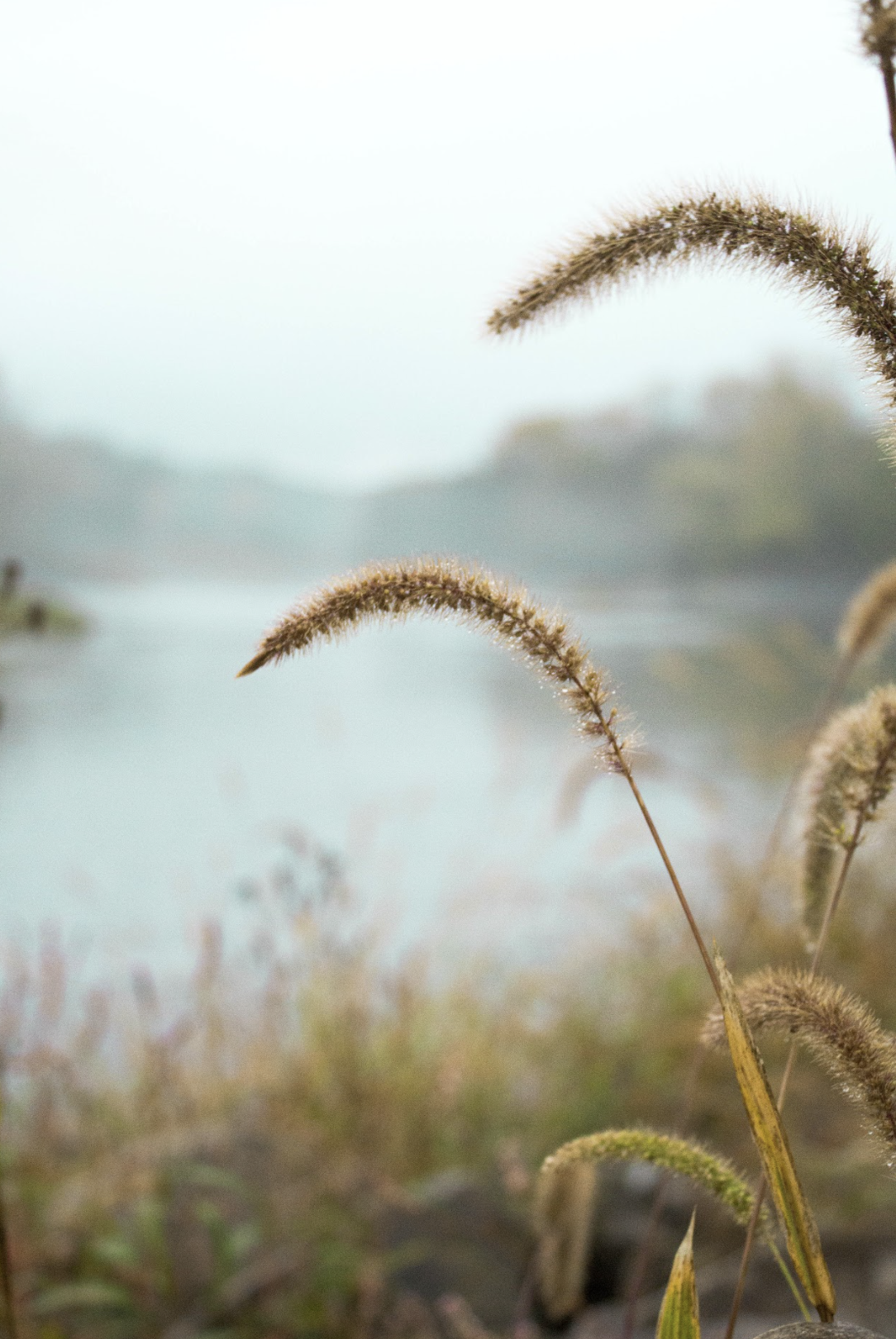 Screen Shot 2024-07-31 at 8.21.34 AM.png