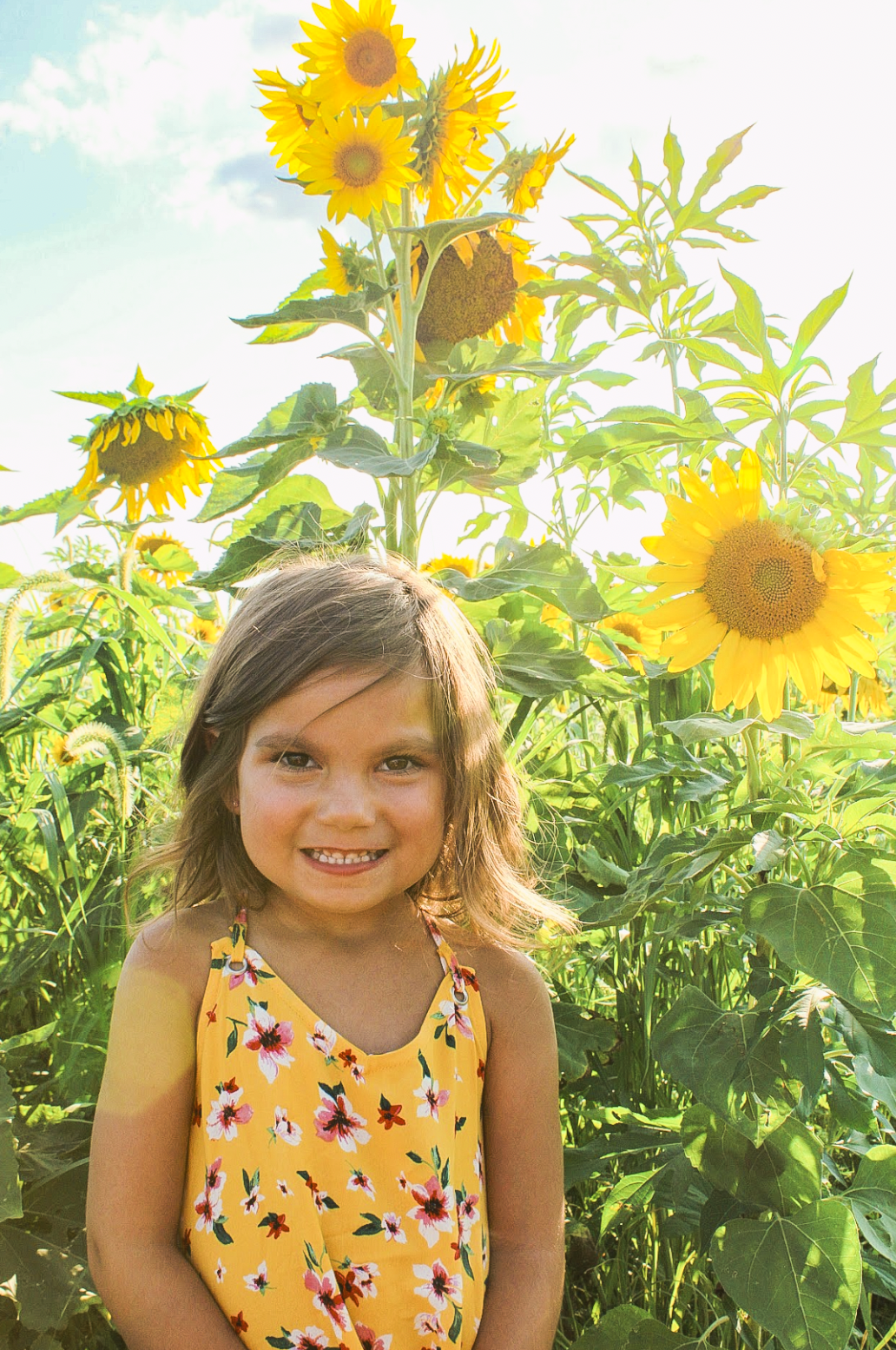 Screen Shot 2024-07-31 at 7.56.27 AM.png