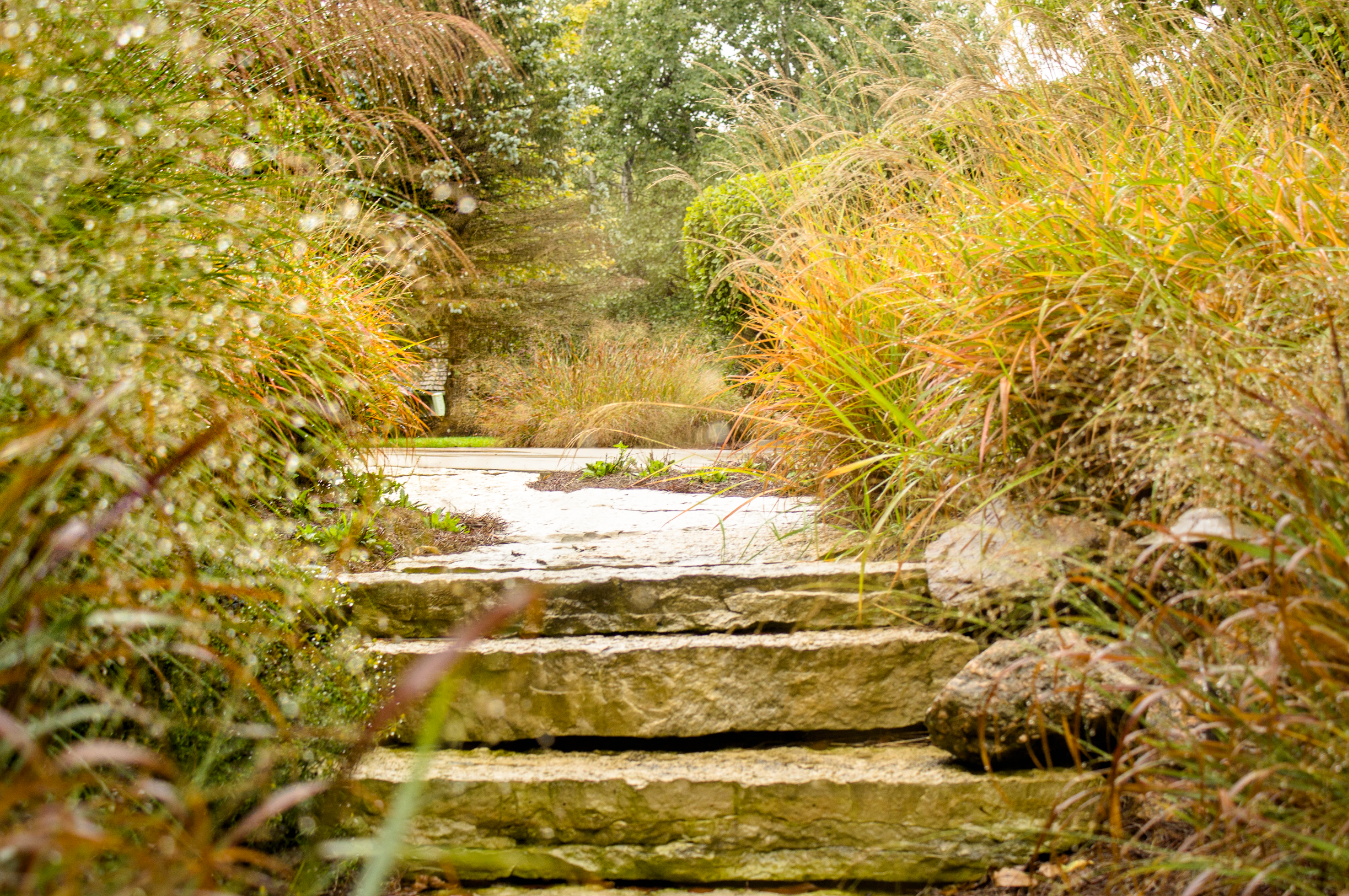 Screen Shot 2024-07-31 at 8.18.00 AM.png