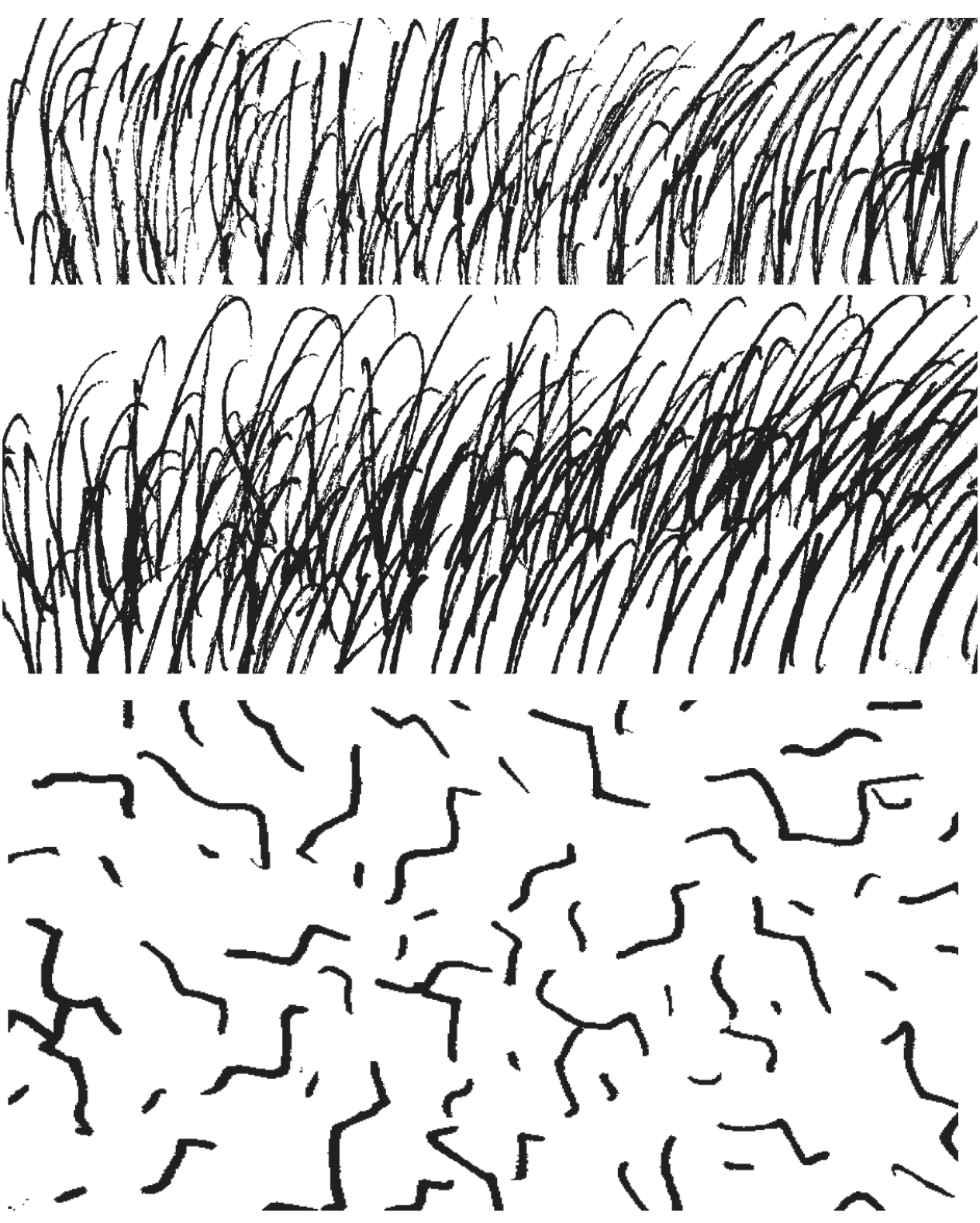 Screen Shot 2026-03-31 at 1.12.31 PM.png