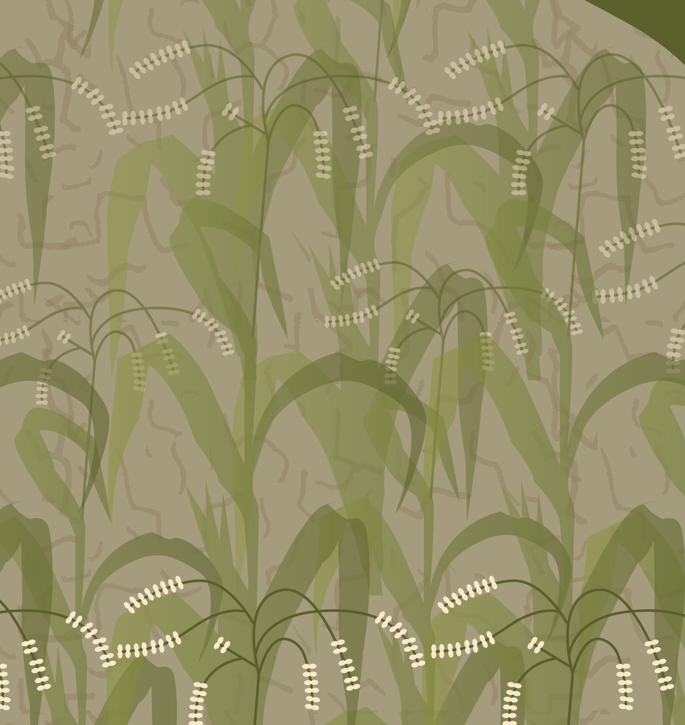 Screen Shot 2024-08-14 at 2.45.31 PM.png