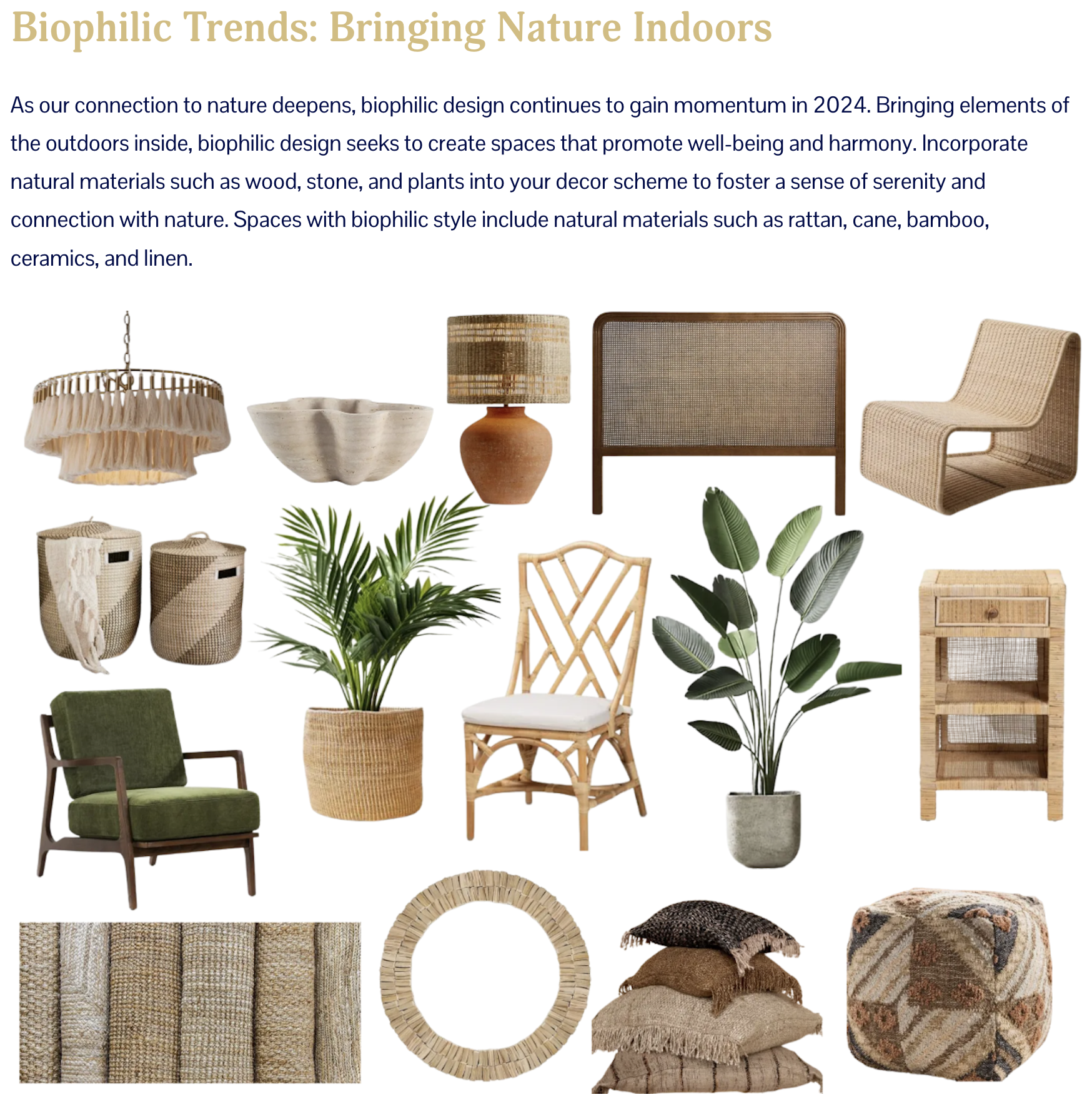 Screen Shot 2024-04-30 at 8.50.18 AM.png