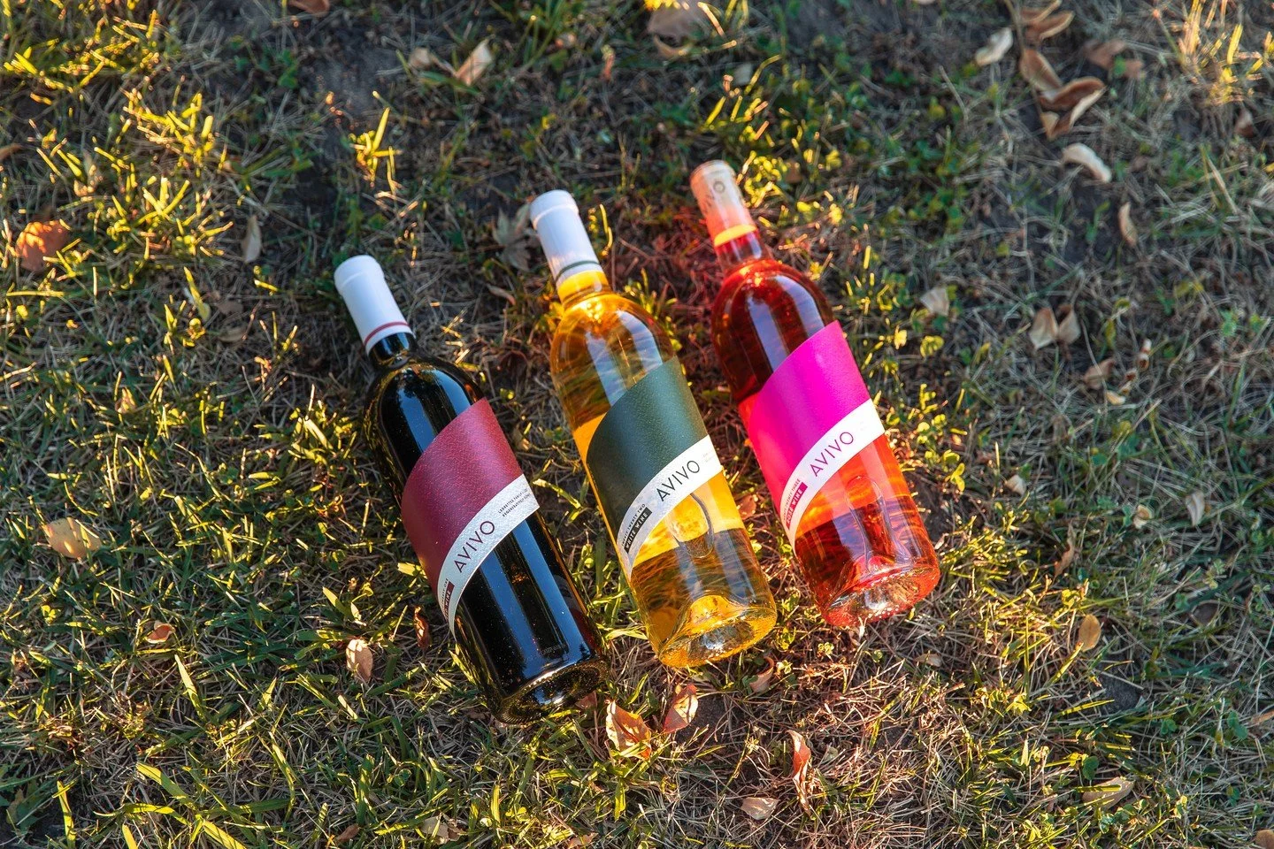 Our selections are crafted not just for taste, but for impact. 🌱🍷 By supporting biodiversity, preserving our land, and uplifting communities, each AVIVO wine helps create a healthier planet for all while tasting amazing.

Shop now at the link in ou