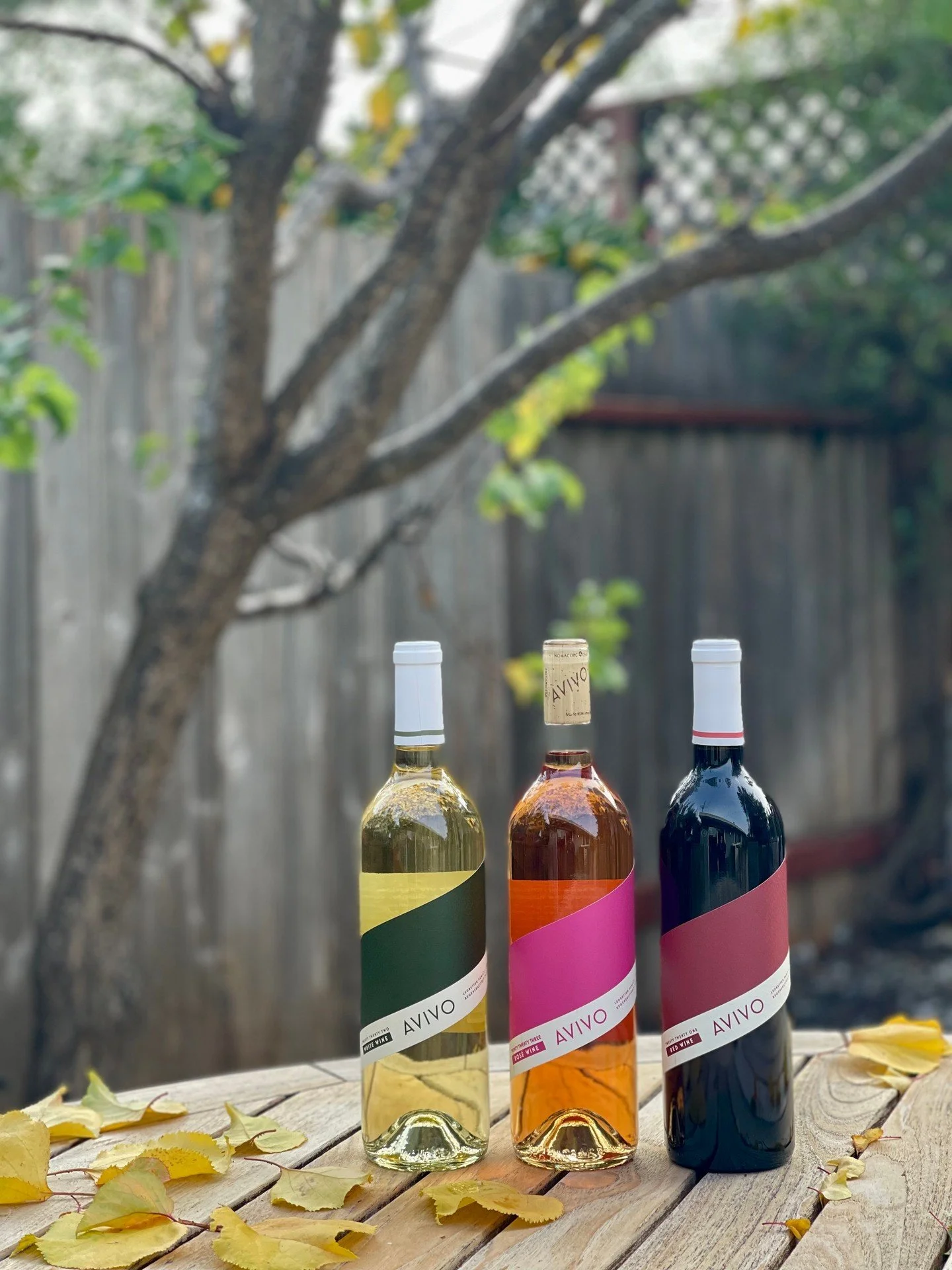 Autumn is here, and while the leaves are changing, your wine choices can stay consistent, balanced, and full of flavor. 🍷 Made with 100% organic grapes and certified vegan, AVIVO Wines are just #SimplyBetterWines