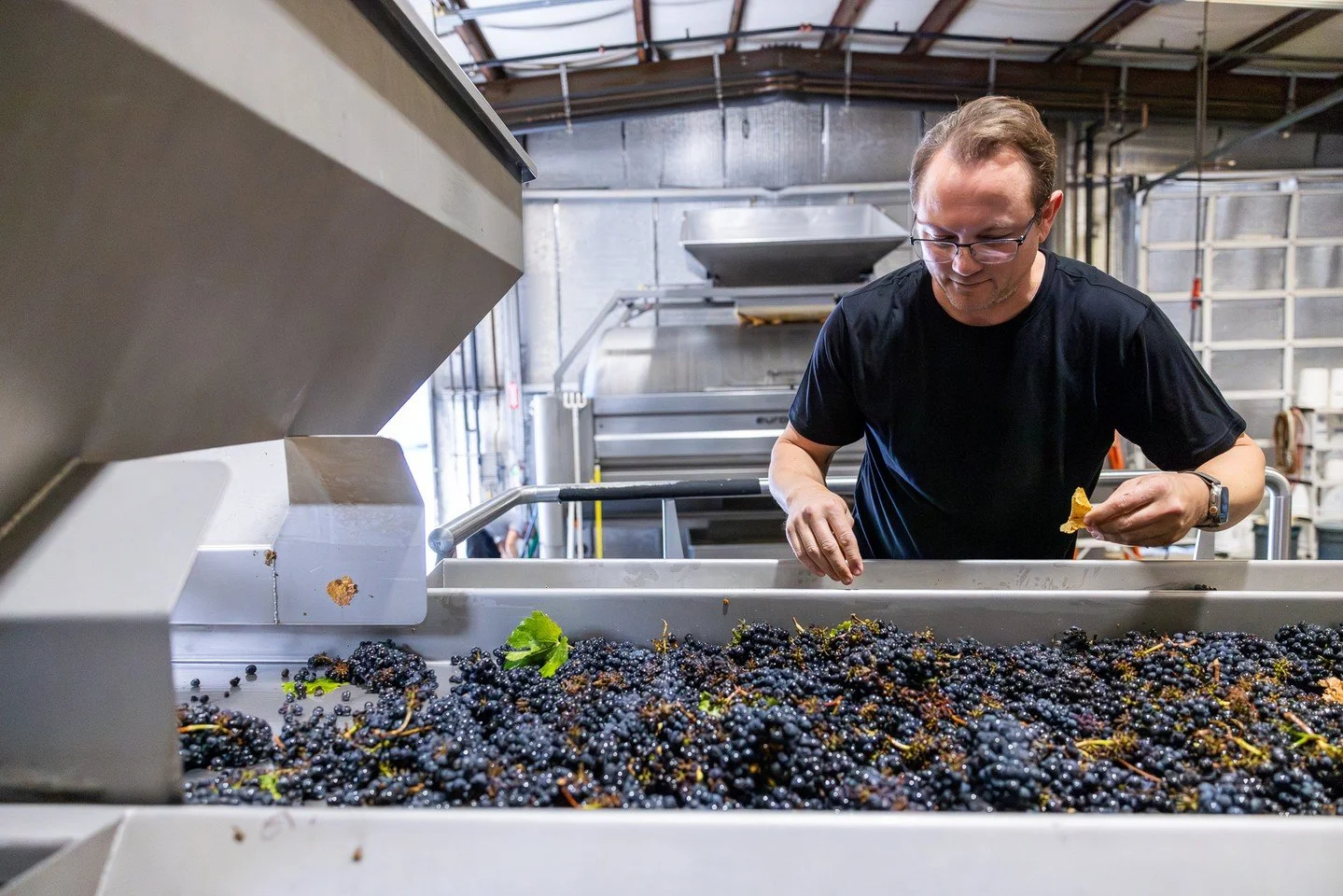 As AVIVO winemaker Dan Fitzgerald says: &ldquo;When you grow grapes this clean and balanced, your job is to guide - not control. That&rsquo;s how you make wines that feel alive.&rdquo; 🌱🍇 

Great selections begin with respect for the land, the frui