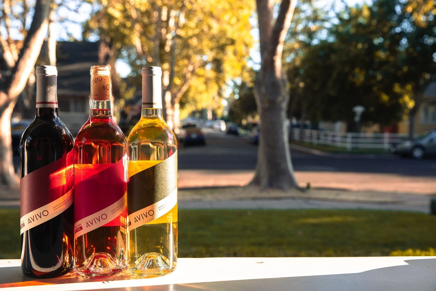 Pumpkin patches, golden sunsets, and your favorite bottle 🍂✨ Enjoy the crisp season with wines that are lighter in style, full of flavor and #SimplyBetterWines