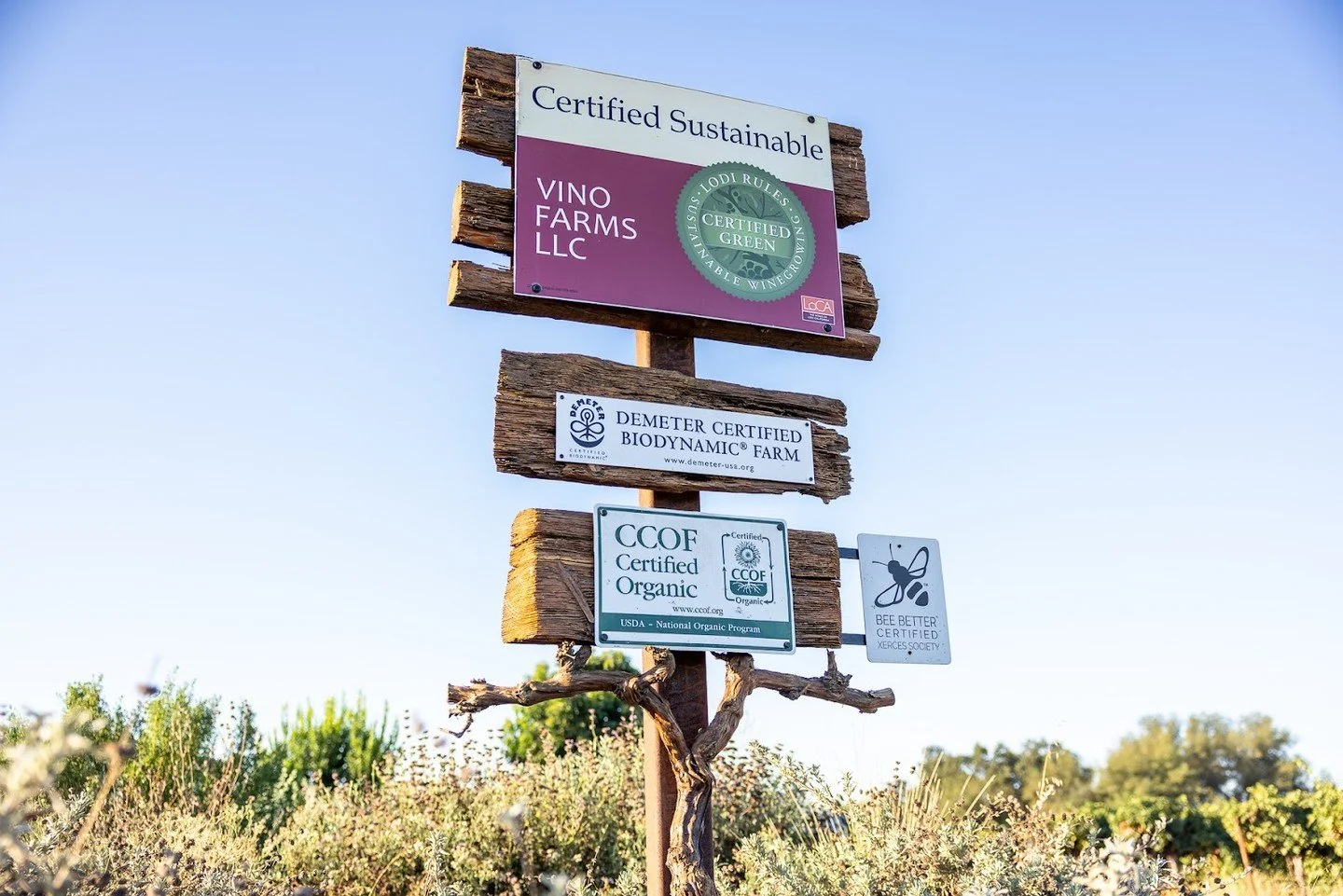 We partner with the Ledbetter family, third-generation stewards of the land, using regenerative, organic, and Biodynamic&reg; practices to grow high-quality grapes.