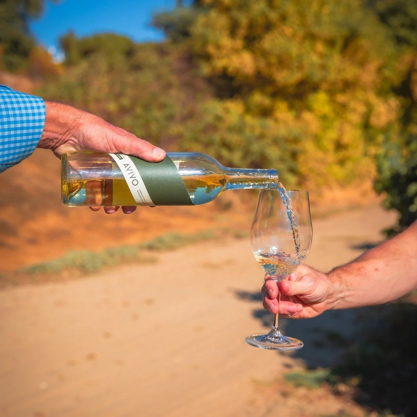 It is National Drink Wine Day! But we say: Drink BETTER Wine Day.  Better for you with zero sugar and zero additives, and better for the planet through organic and regenerative farming. It's a win-win! 
.
.
.
#regenerativefarming #organicgrapes #nati