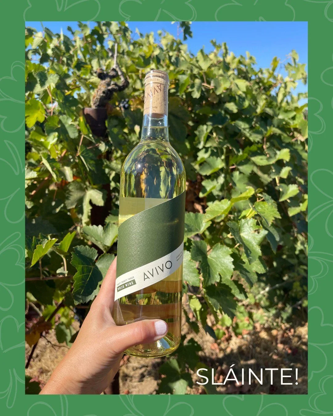 Don't forget your green! Our AVIVO White will serve two purposes today - a beautiful pairing with tonight's St. Patty's dinner + a fun pop of green adding to the festive table decor. Win-win. 
.
.
.

 #ilovegreen💚 #whitewine