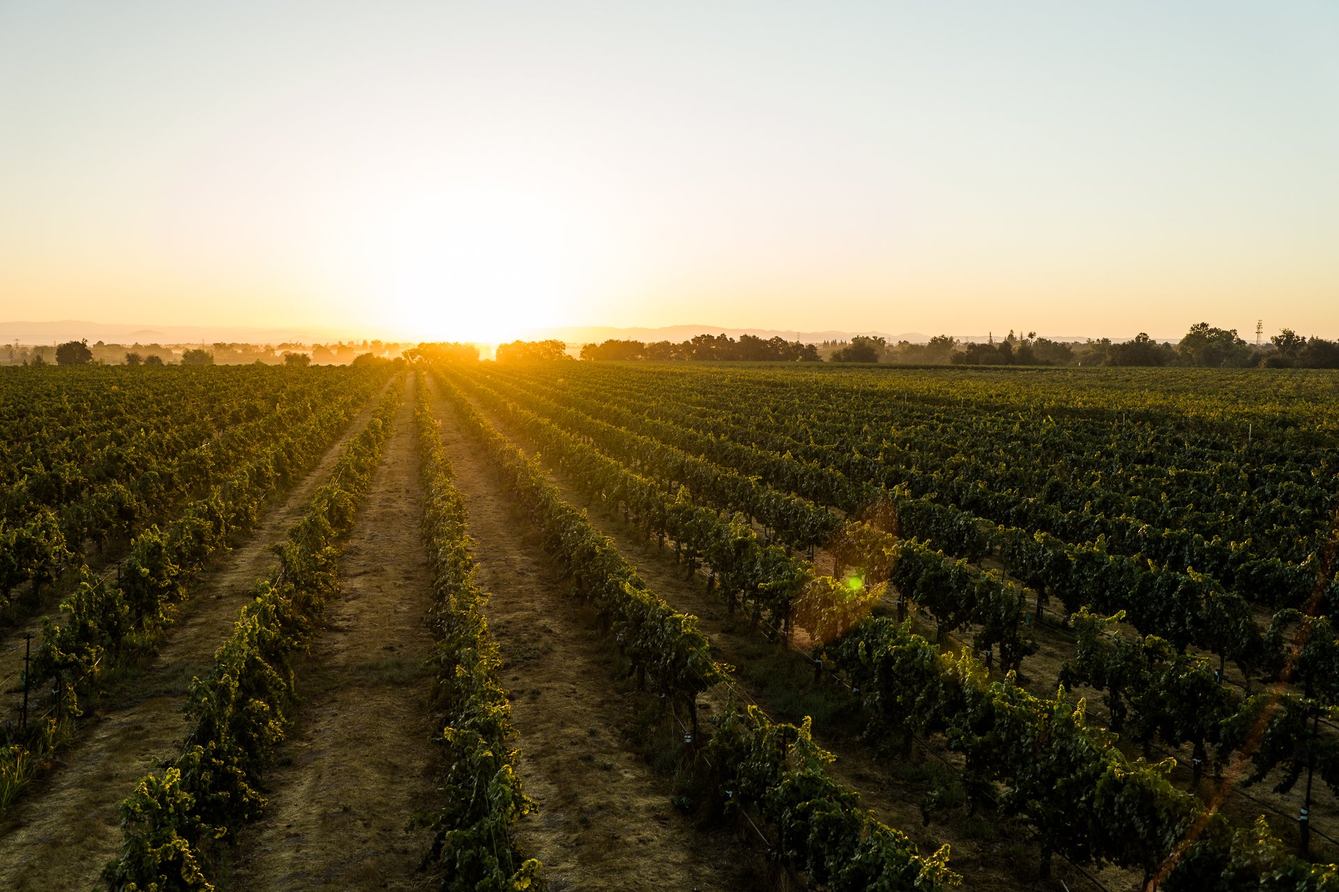Happy Earth Day. 🌍🌱
Our commitment to regenerative organic farming means that our team farms every vineyard block with intention to heal the plant - working to nourish the soil, foster biodiversity, and return more to the earth than we take.

When 