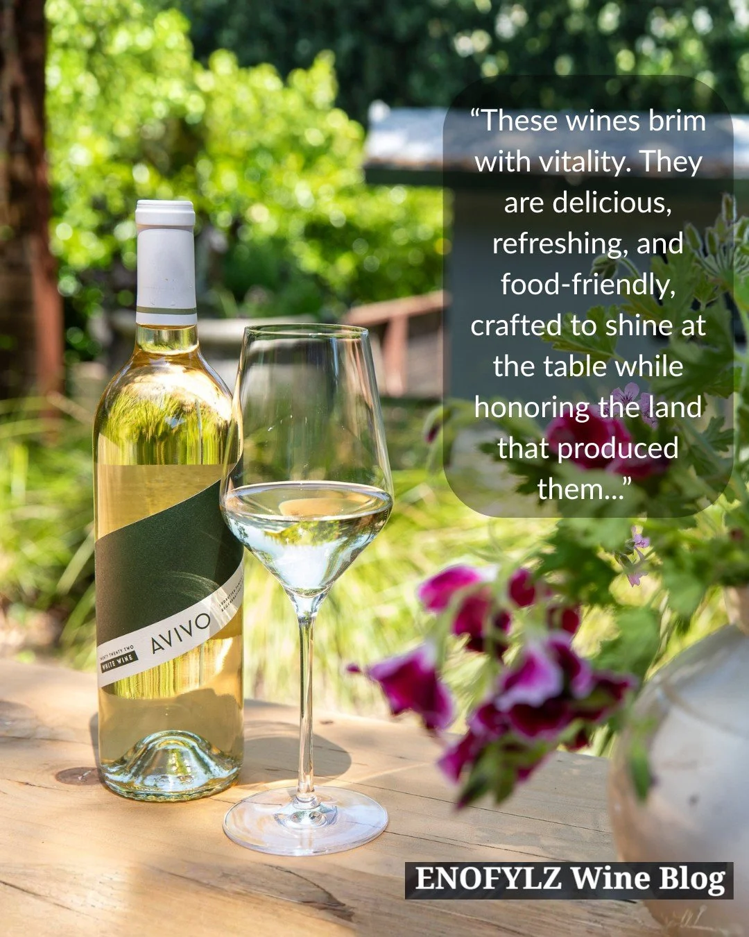 AVIVO wines are made for the table. 

Thank you, Martin. enofylzwineblog.com