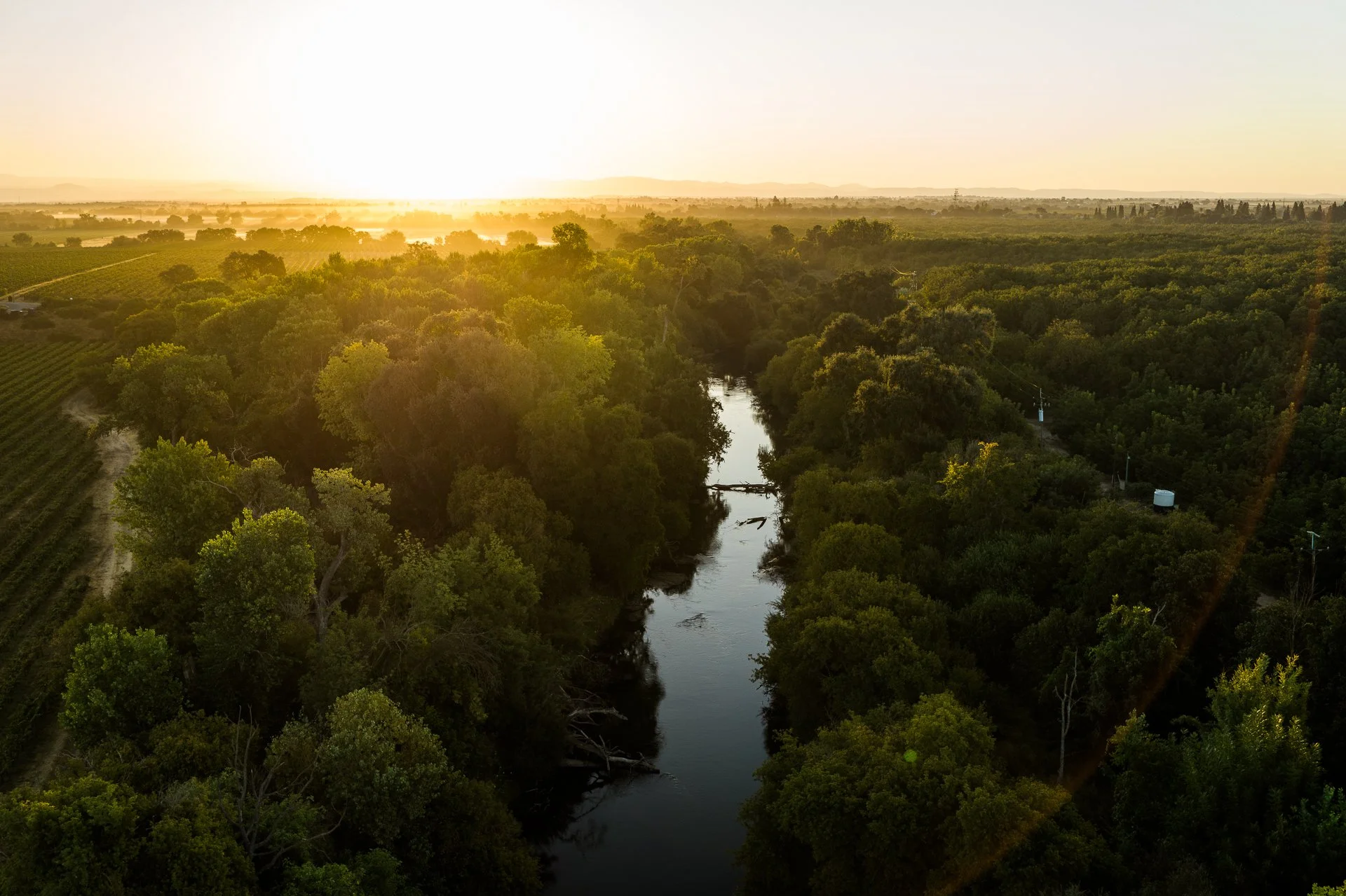 Did you know Lodi's warm days and cool river and Delta breezes make it one of California's best-kept secrets for crisp white wines? The heat builds complexity. The breeze preserves the freshness. The result is a white wine that truly delivers on a ho