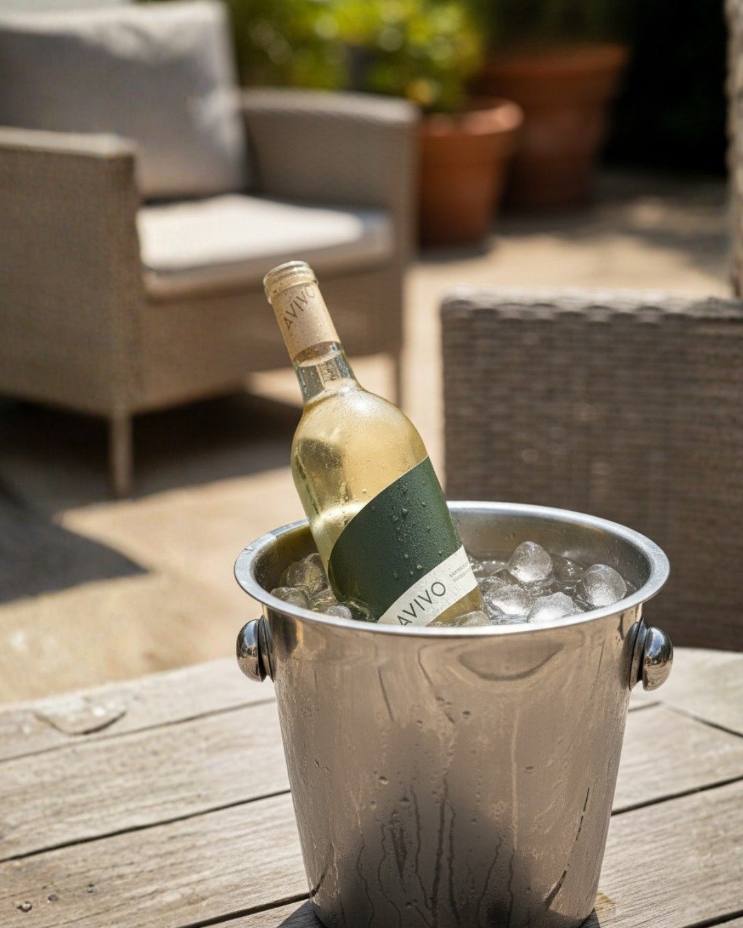Summertime is right around the corner, and we cannot wait for the season of alfresco dining. So get your patios prepped and the wine chilled with AVIVO as your versatile, organic, go-to of the season.