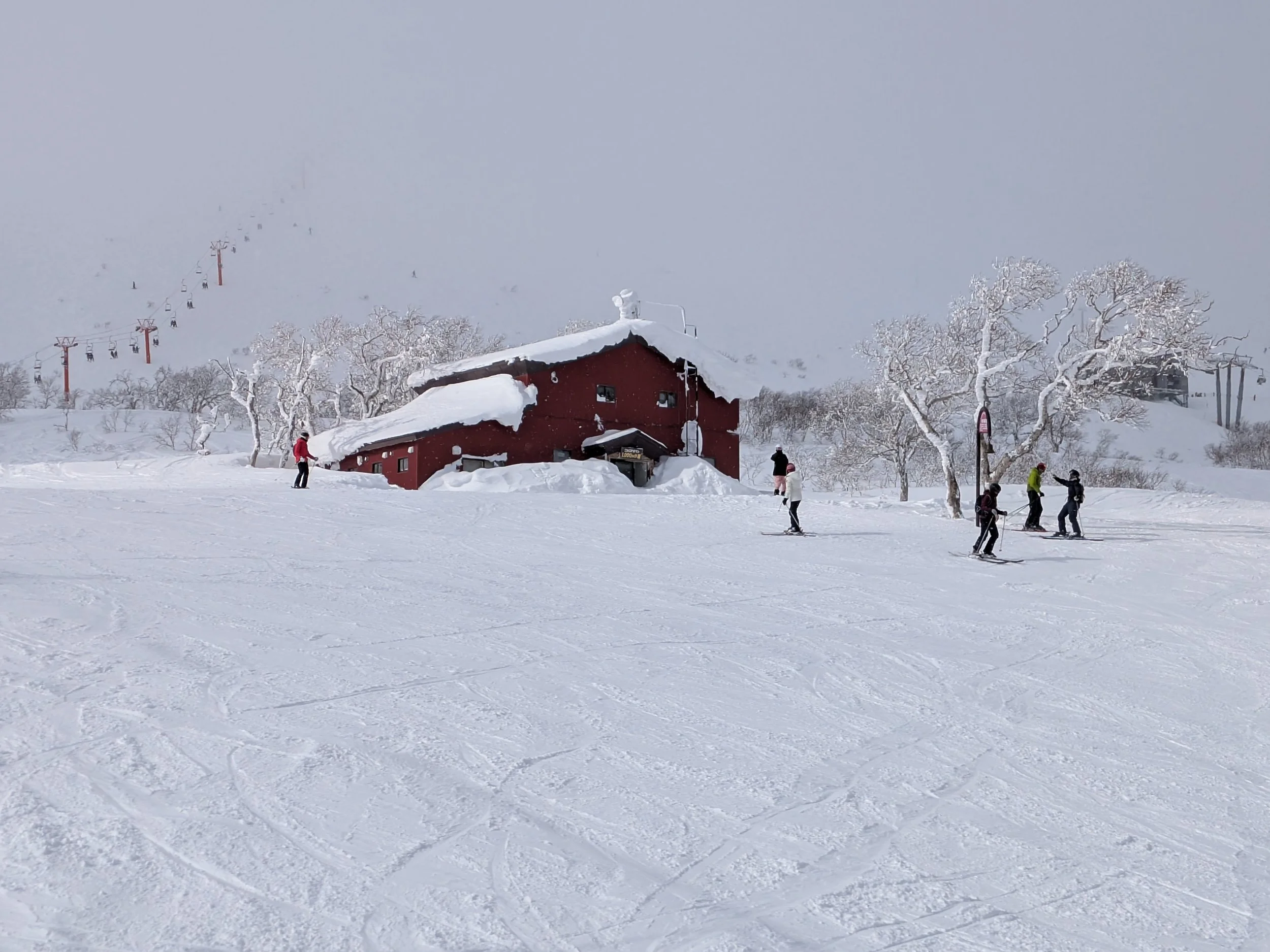 PXL_20250208_034400421.RAW-01.COVER.jpg