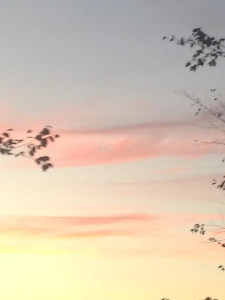 99DF1598-5389-4A88-8138-10025373D53E_1_105_c.jpeg