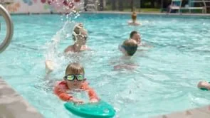 The Shoshone Project