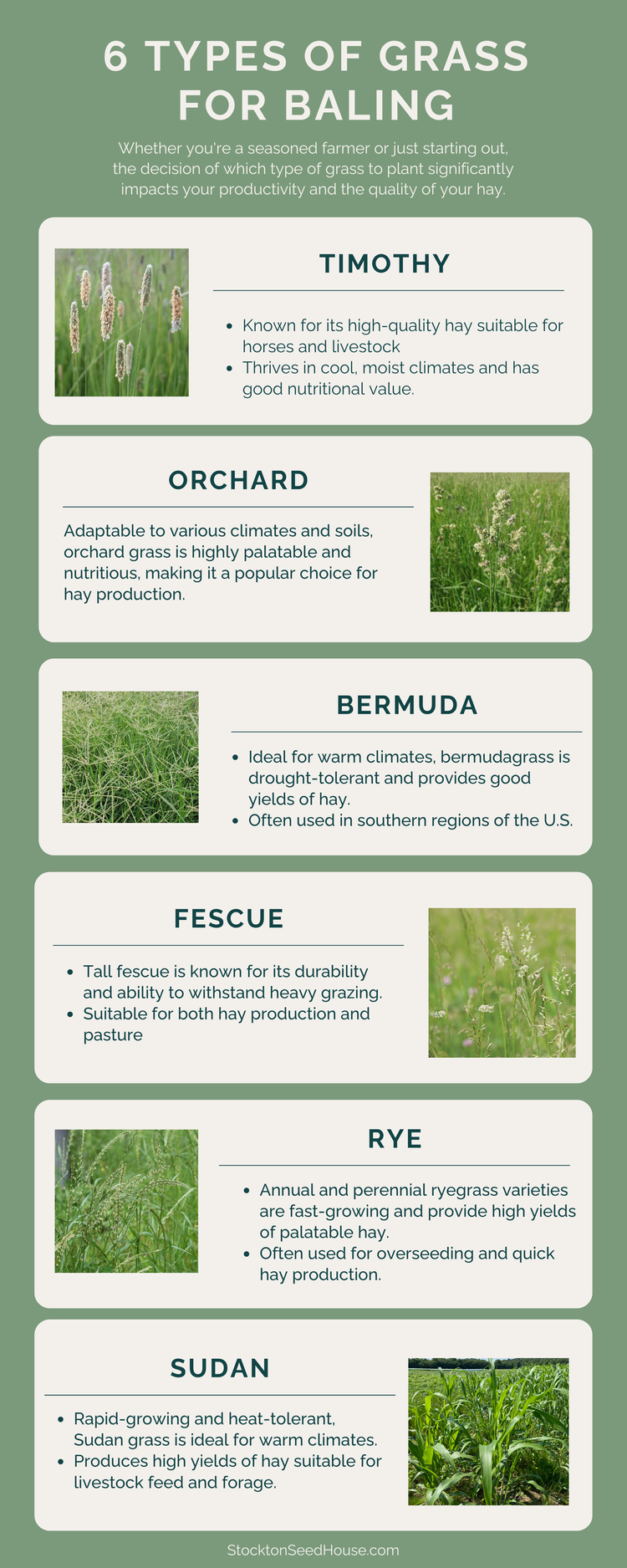 Choosing the best grass for baling: a comprehensive guide — Stockton ...