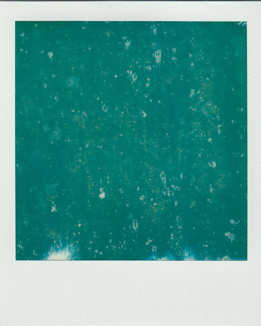 Polaroids_Project_5.jpg