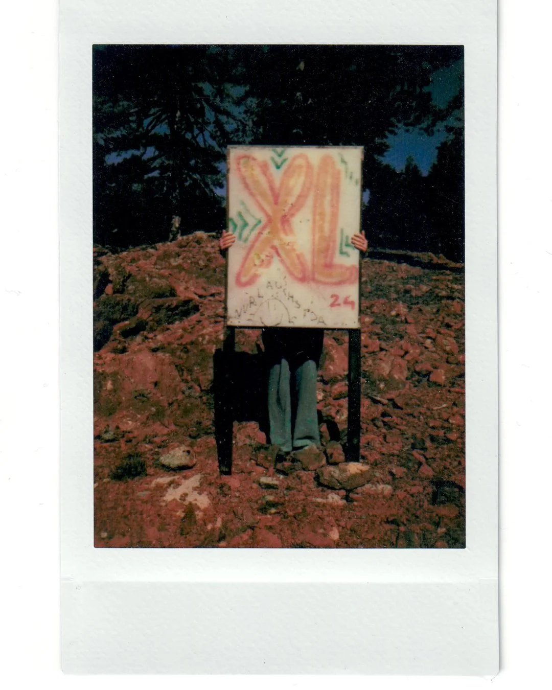 Polaroids_Project____2_3.jpg