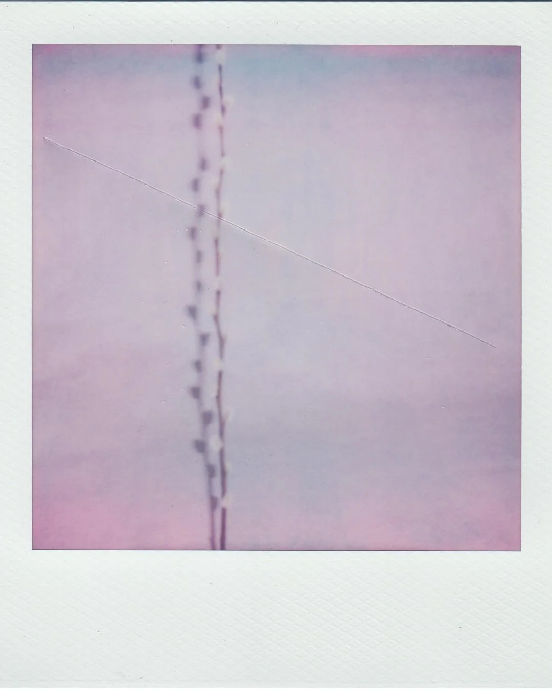 Polaroids_Project_3.jpg