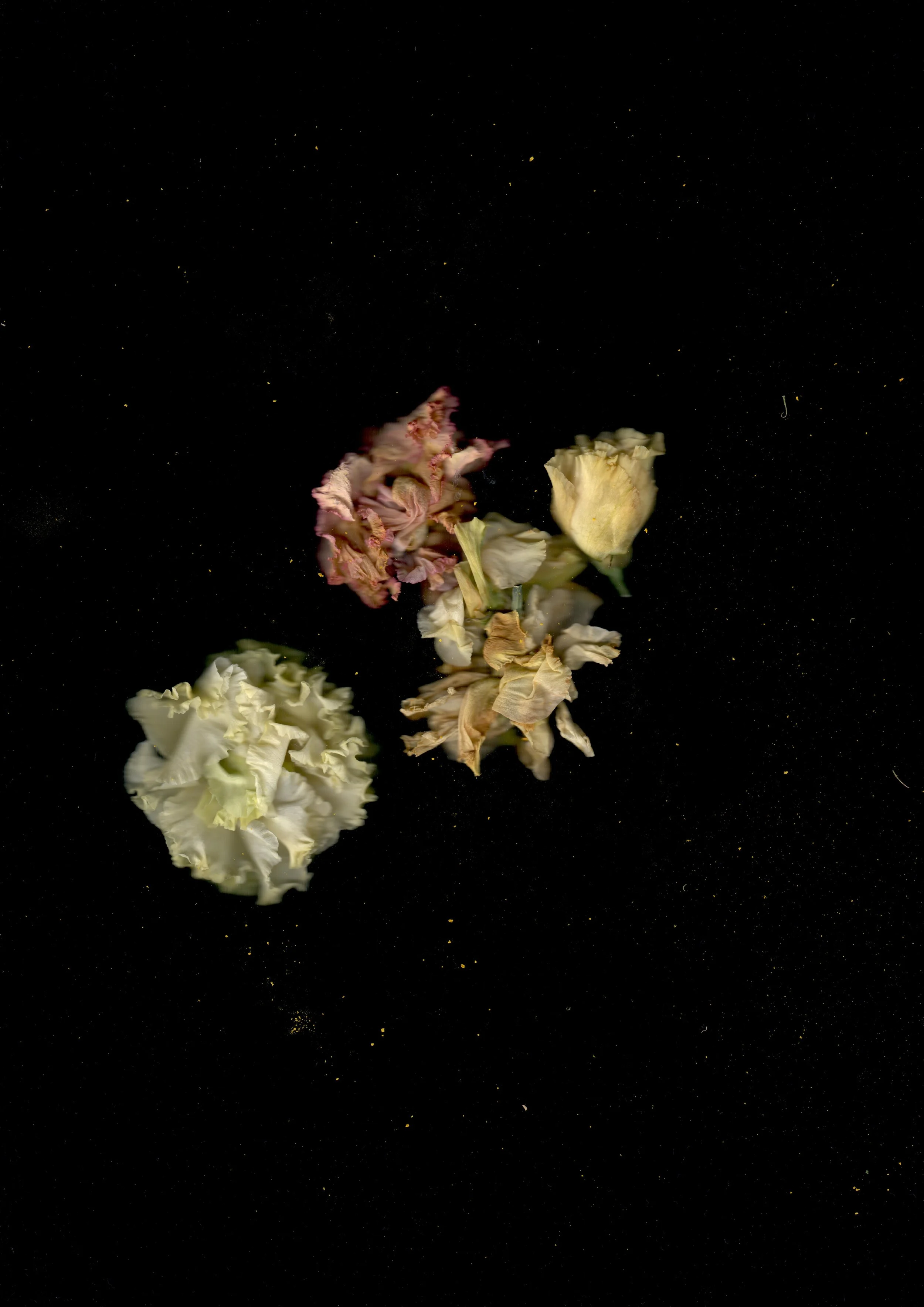 scan0022.jpg