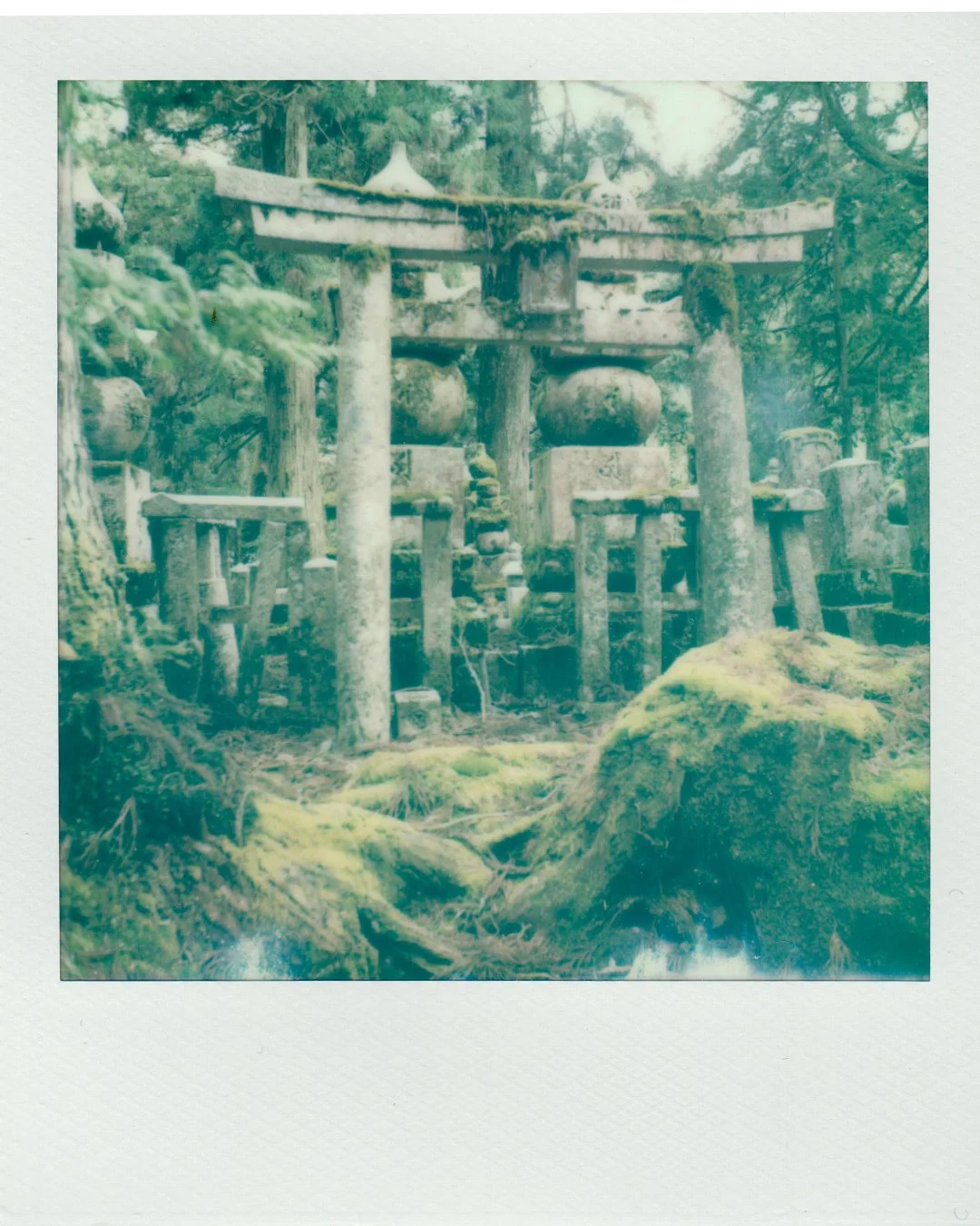 Polaroids_Project_4.jpg