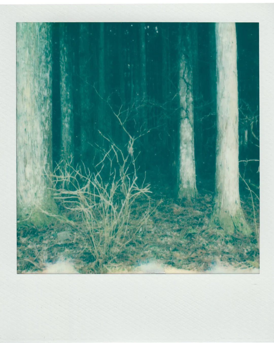 Polaroids_Project_6.jpg