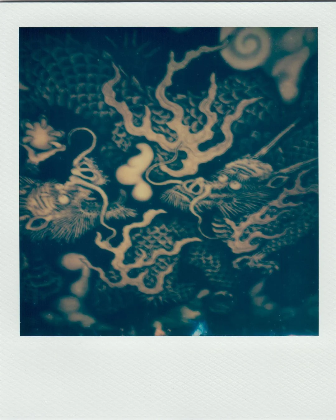 Polaroids_Project_14.jpg