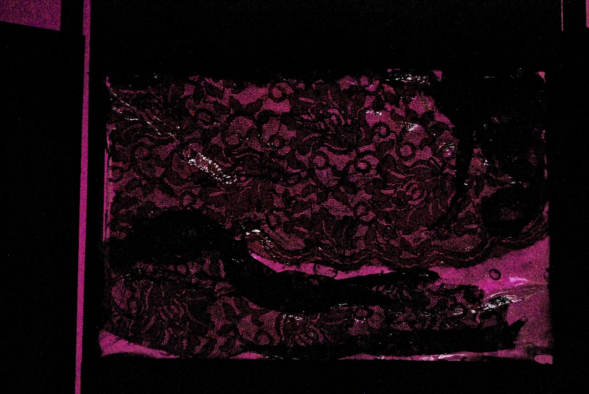 Disturbance, detail.