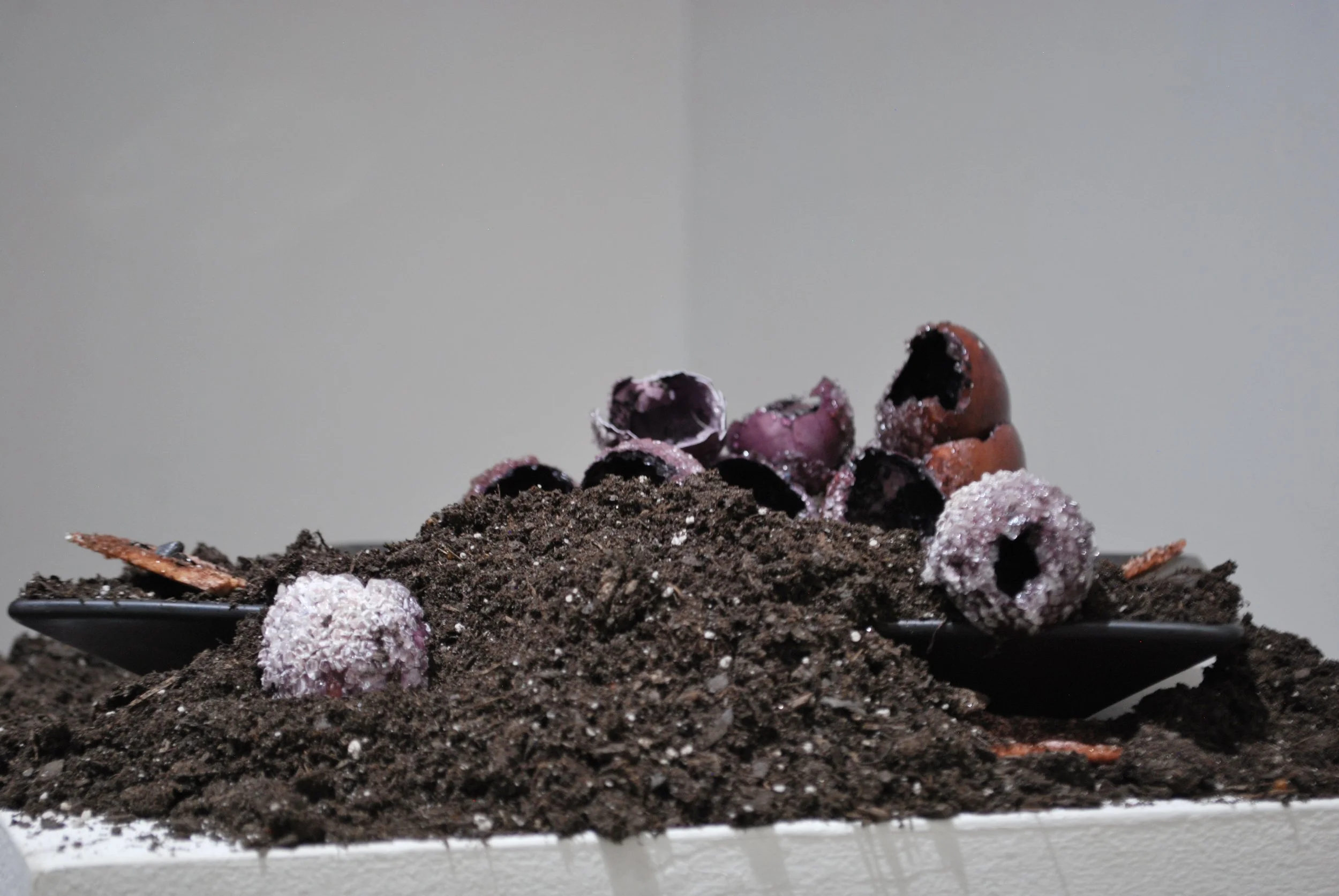 "Inanis," 2024, Preserved eggshell, resin, grown crystals, and soil. 