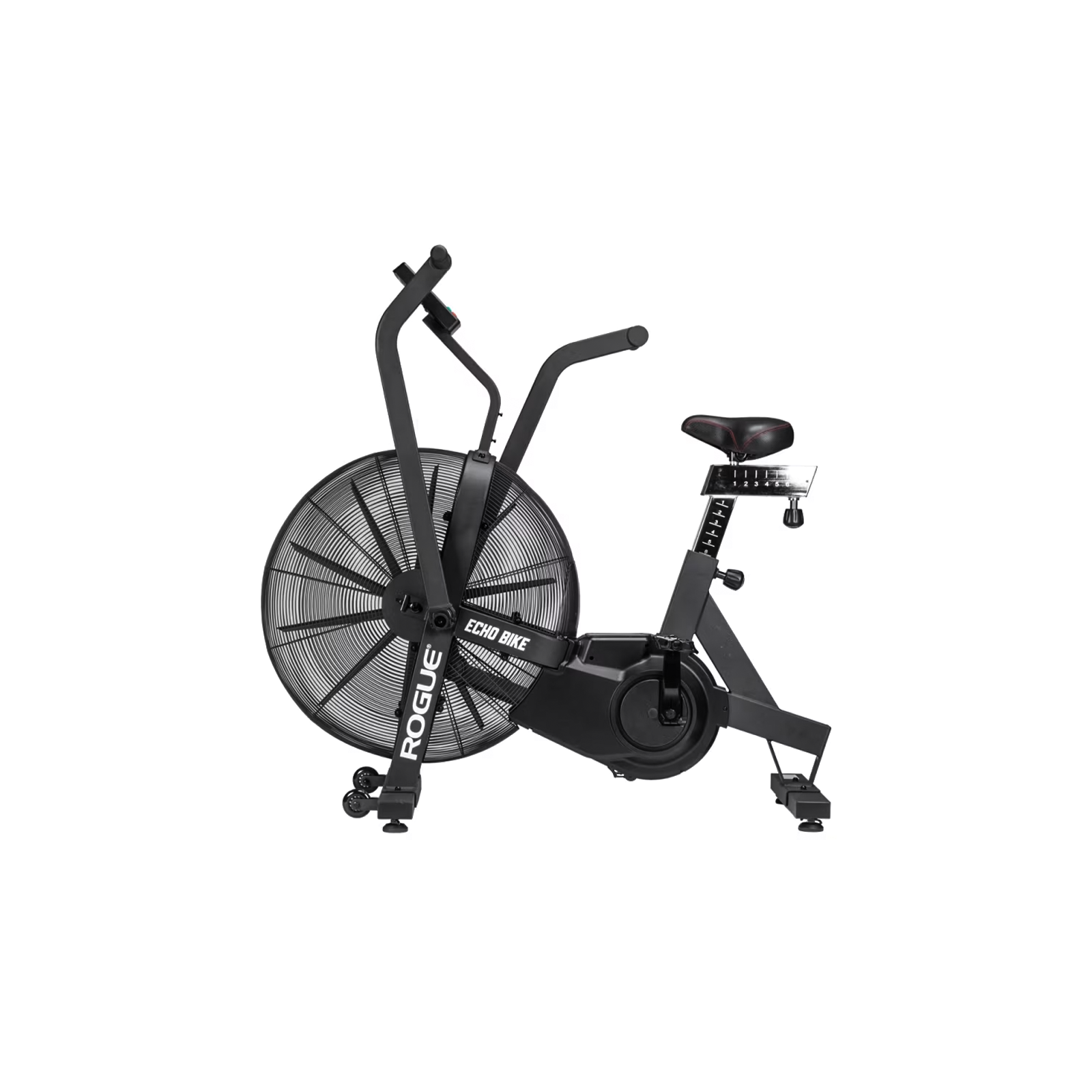 Rogue Echo Bike