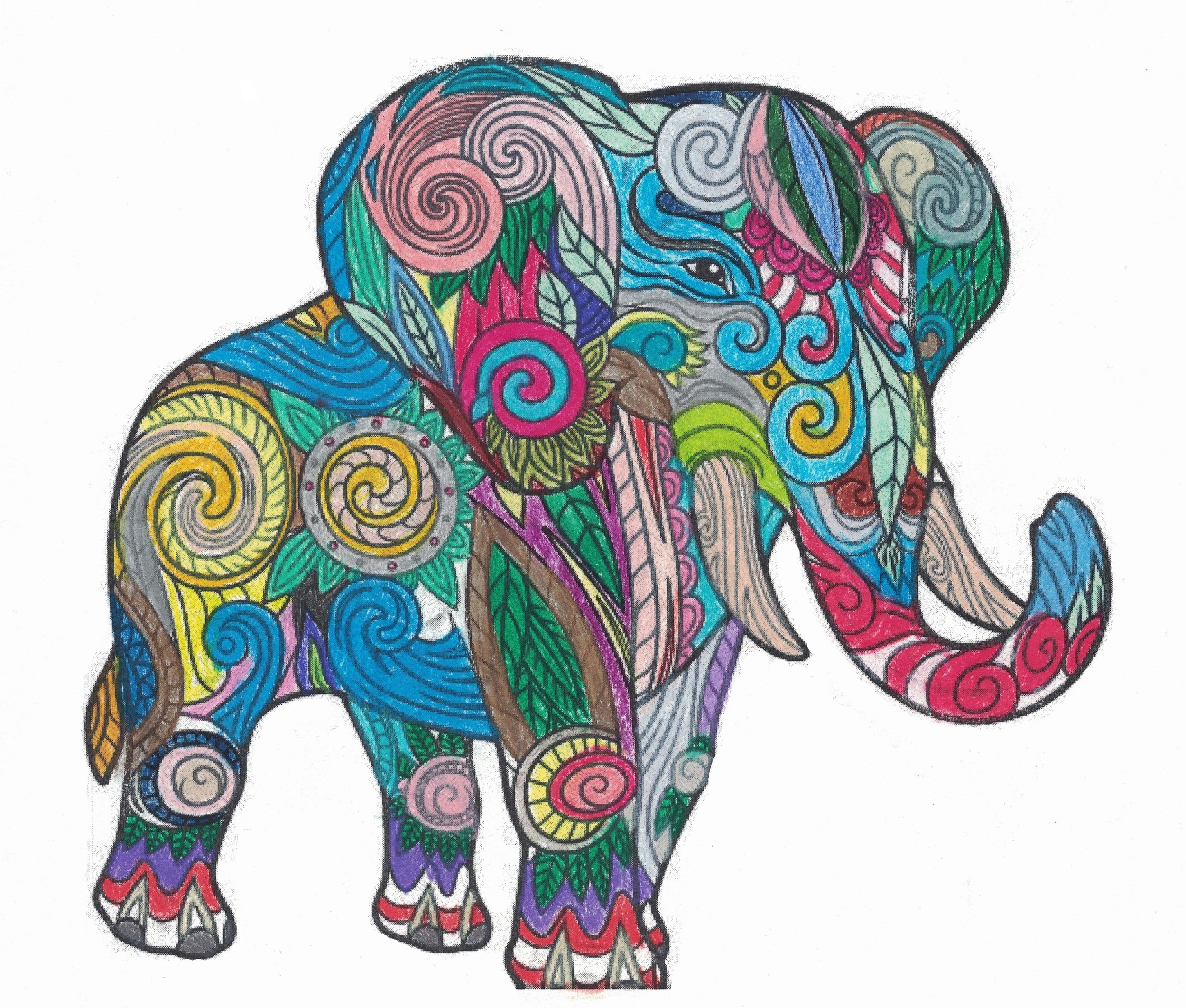 ELephant.jpeg