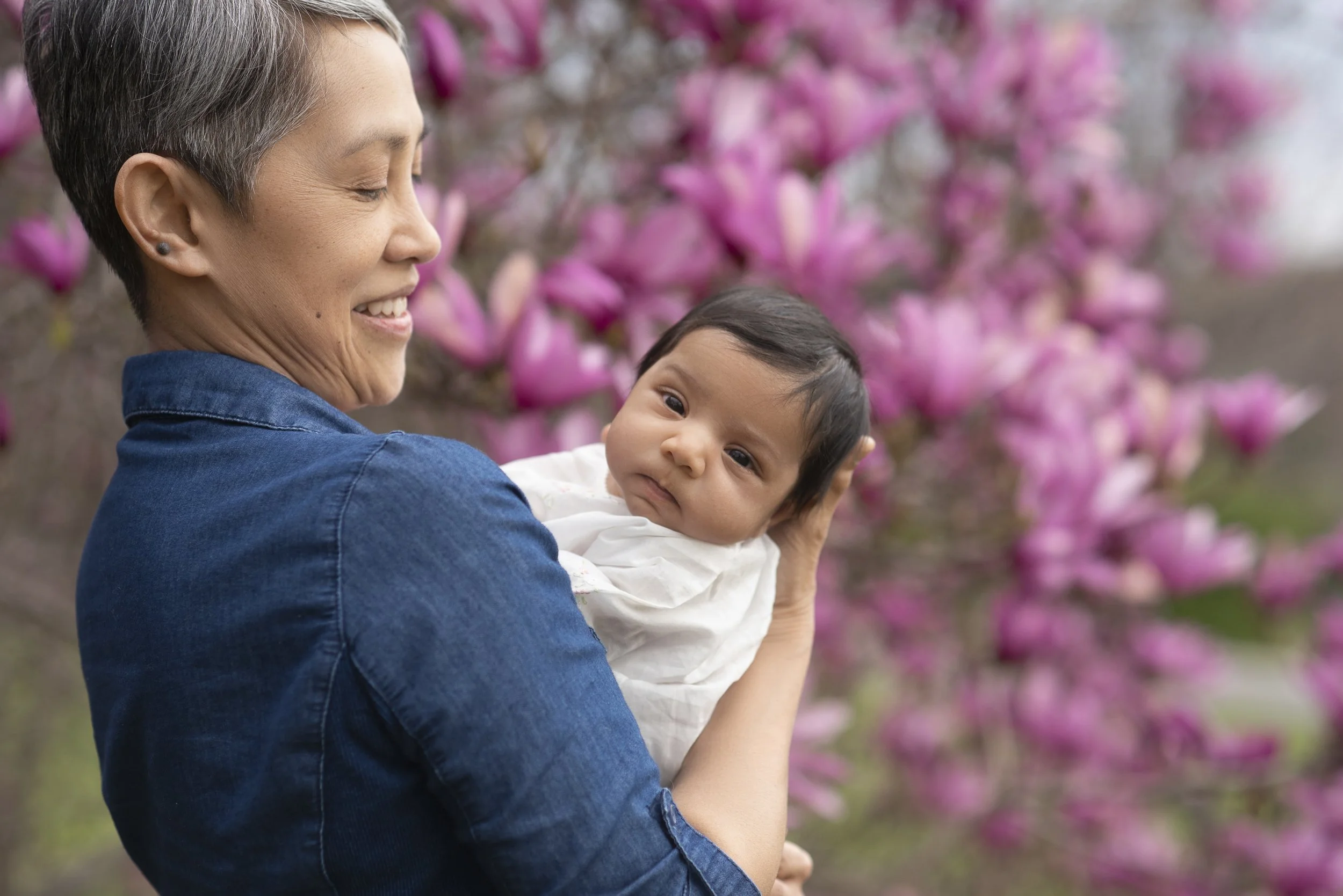 Maya Cherry Blossoms March 2025 by Lauren c1 138372.jpg
