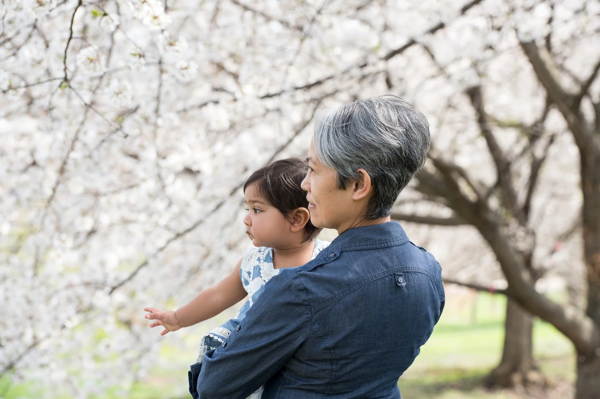 Alexandria VA 1 Year Old Cherry Blossom Family Portraits by Lauren Barkume Photography (5 of 16).jpg