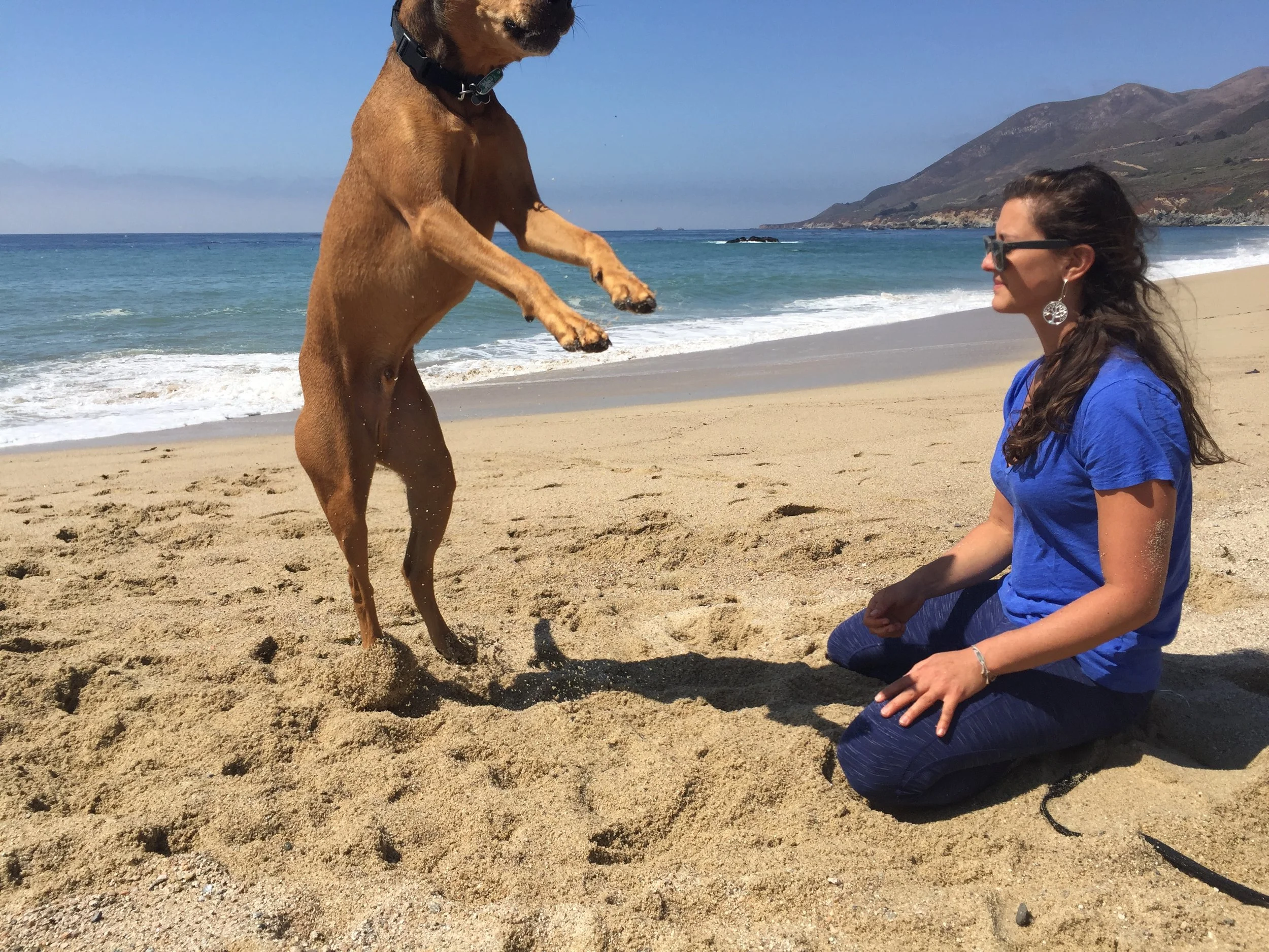 Image of Jessica Ghantous looking at tan, jumping dog while on the beach.
