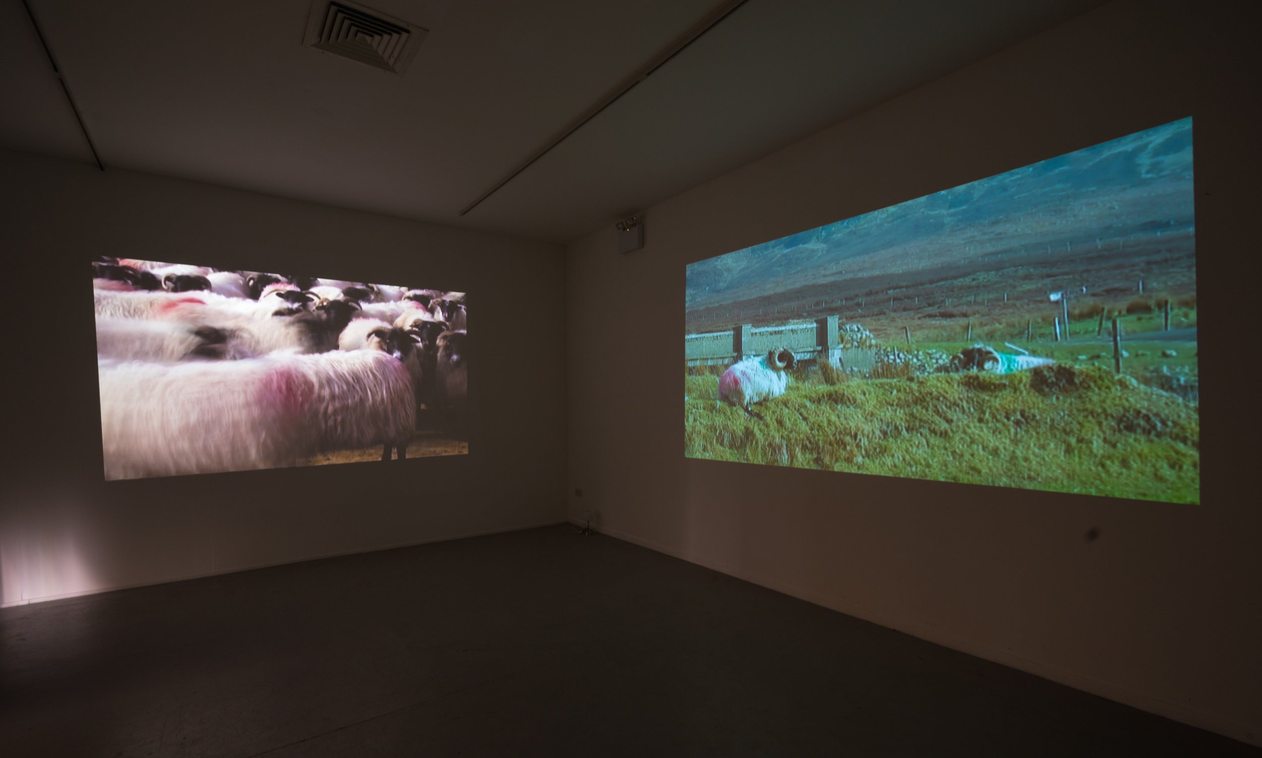 MARKINGS_Gallery3_video_sounds_loop_Brigitta_Varadi_Keith_Nolan_Photography copy 2.jpg