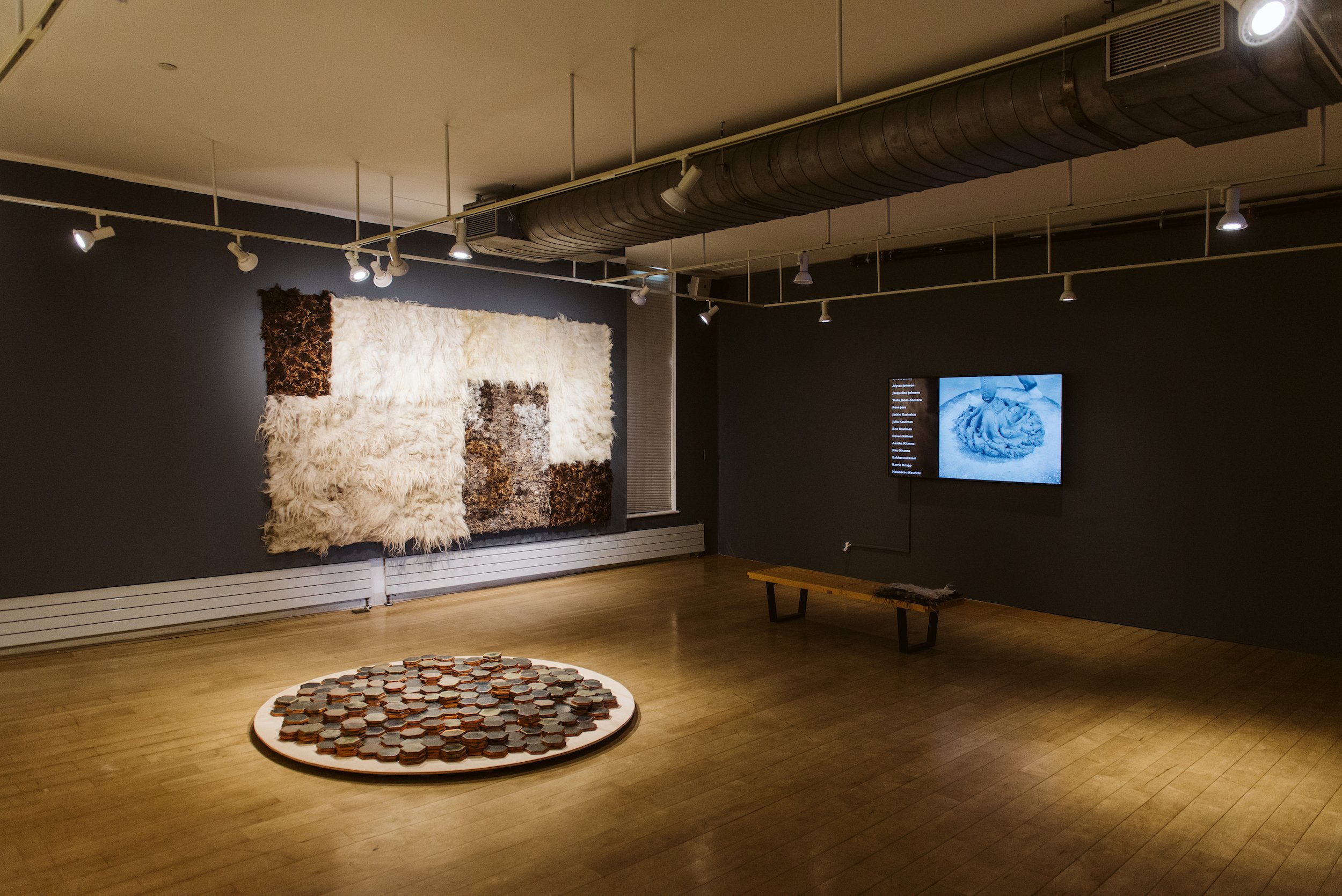 6_Varadi_Exploring the Invisible_installation.jpg
