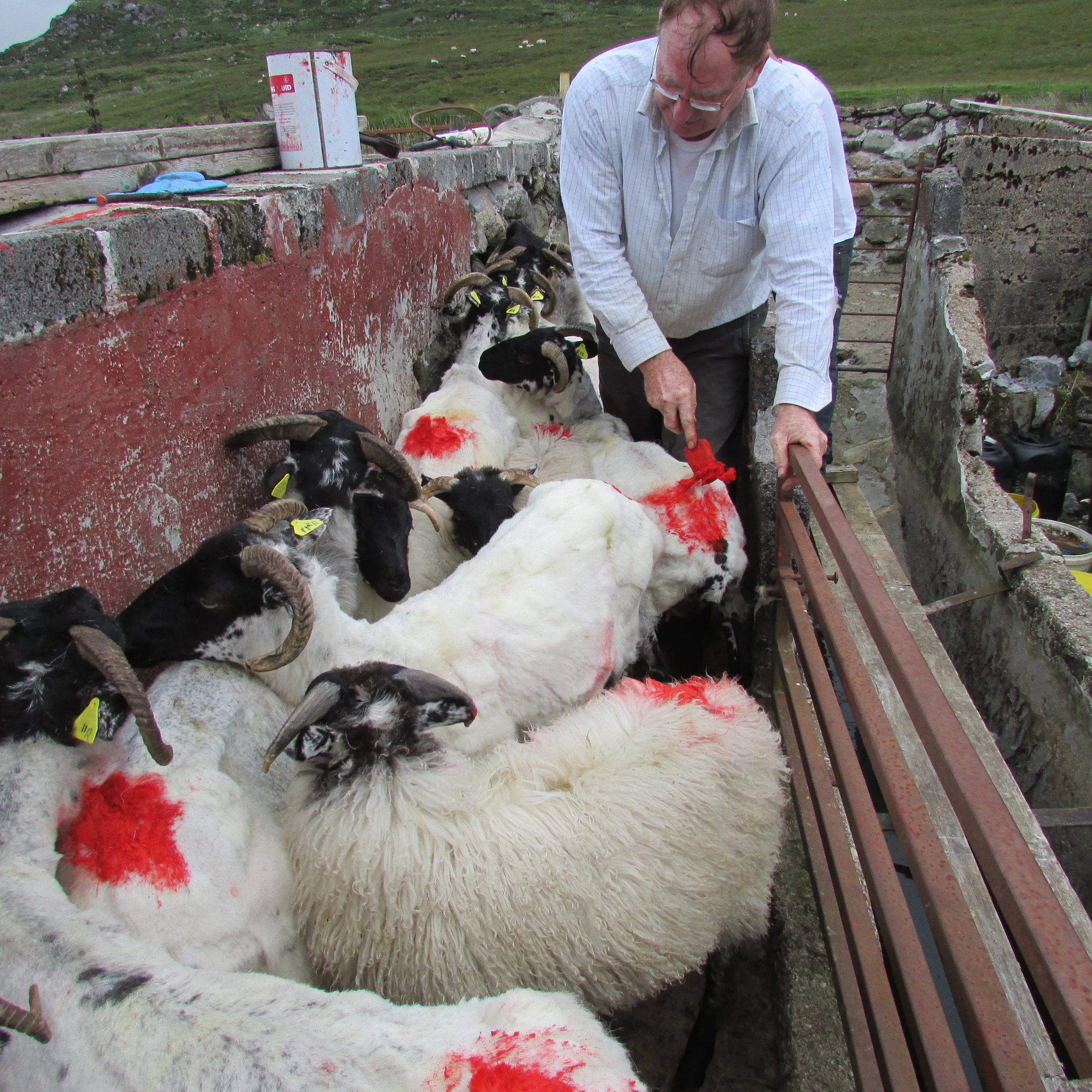 Brigitta Varadi_Markings_Farmer Benedict Gallagher_PhotoCredit_BrigittaVaradio 2.jpg
