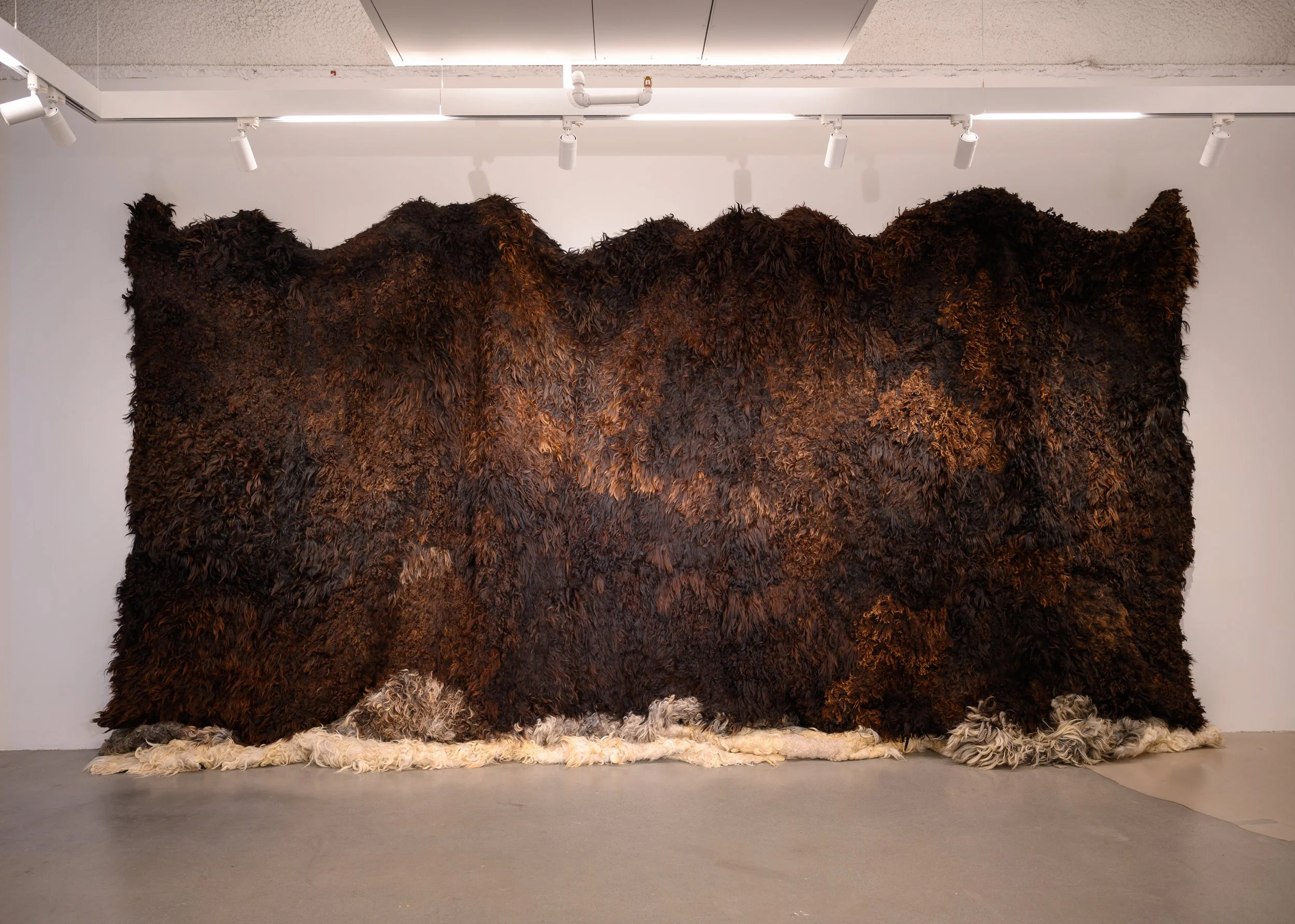 With Their Backs To The Mountains.jpg