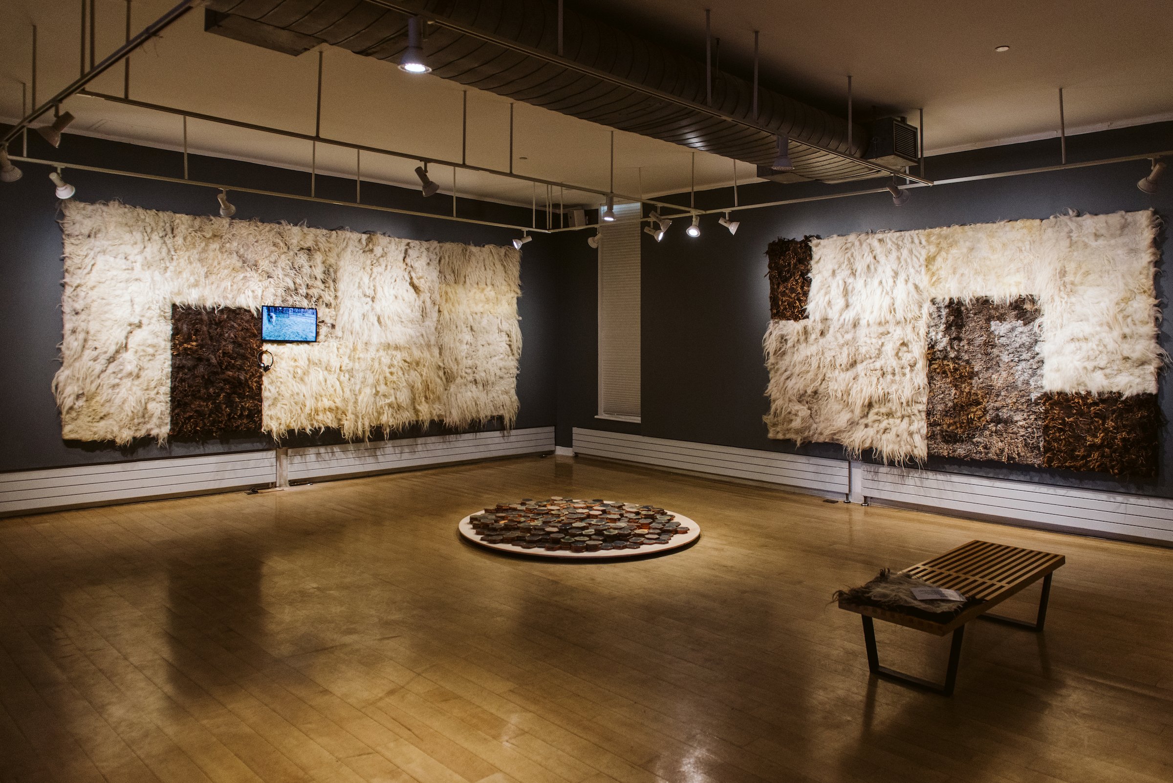 5_Varadi_Exploring the Invisible_installation.jpg