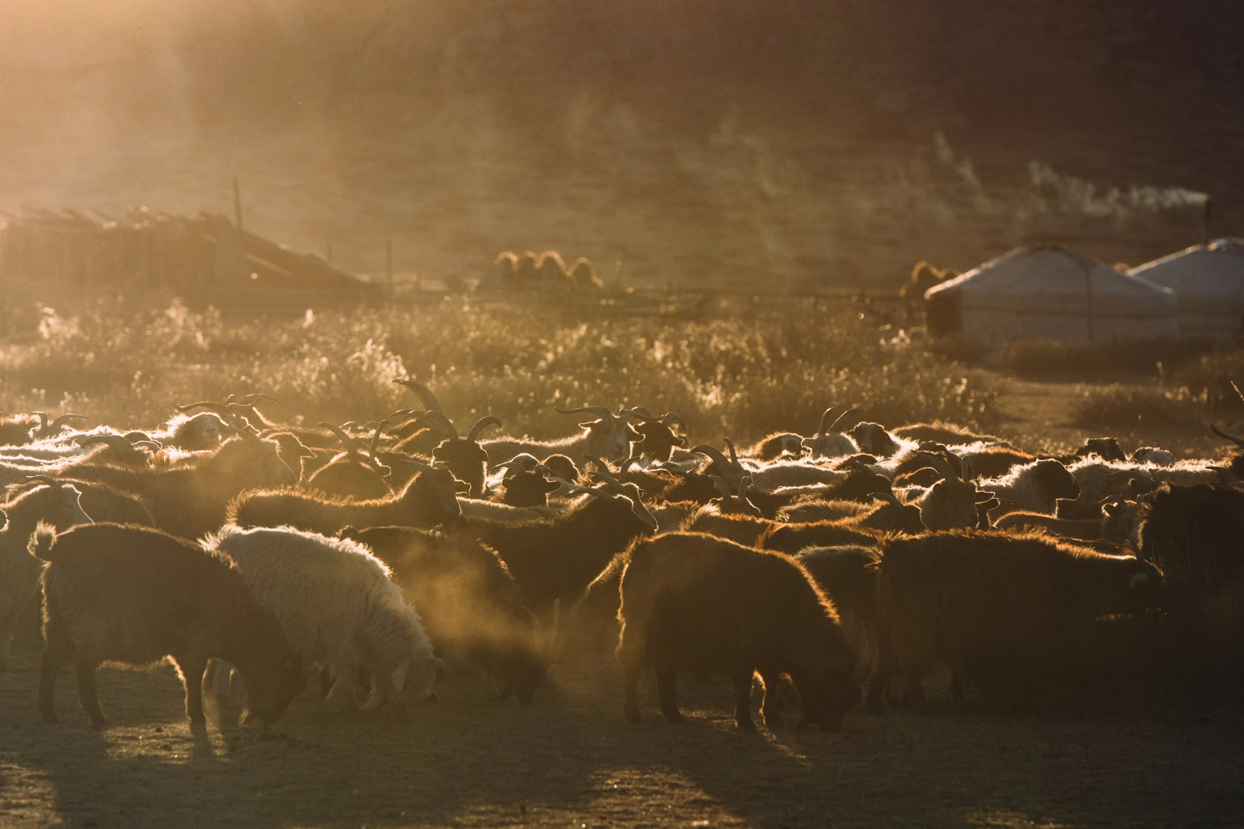 Nomads (3).jpg