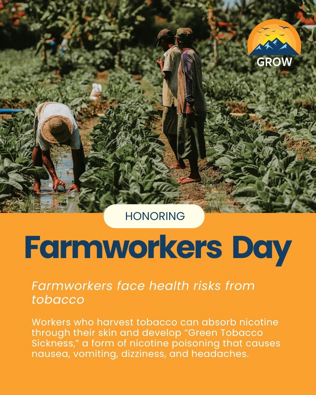 Honoring Farmworkers Day 🌾
Today we recognize and uplift the essential role farmworkers play in our communities. Their labor supports the food systems we rely on every day, yet their work often goes unseen and underappreciated. This day is a reminde
