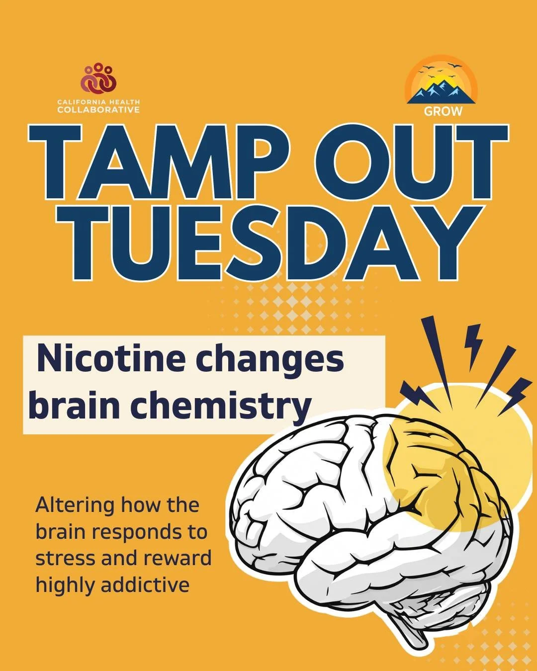 Nicotine affects the brain's reward system, cravings can continue even when someone wants to quit. Knowing how addiction develops can help people make informed decisions about their health and seek support when they're ready to quit.
 
For Support to
