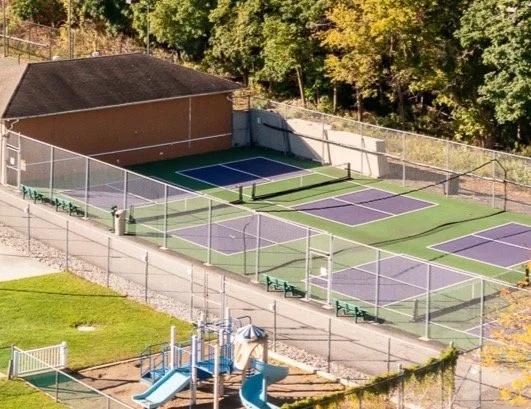 Pickleball Aerial.jpeg
